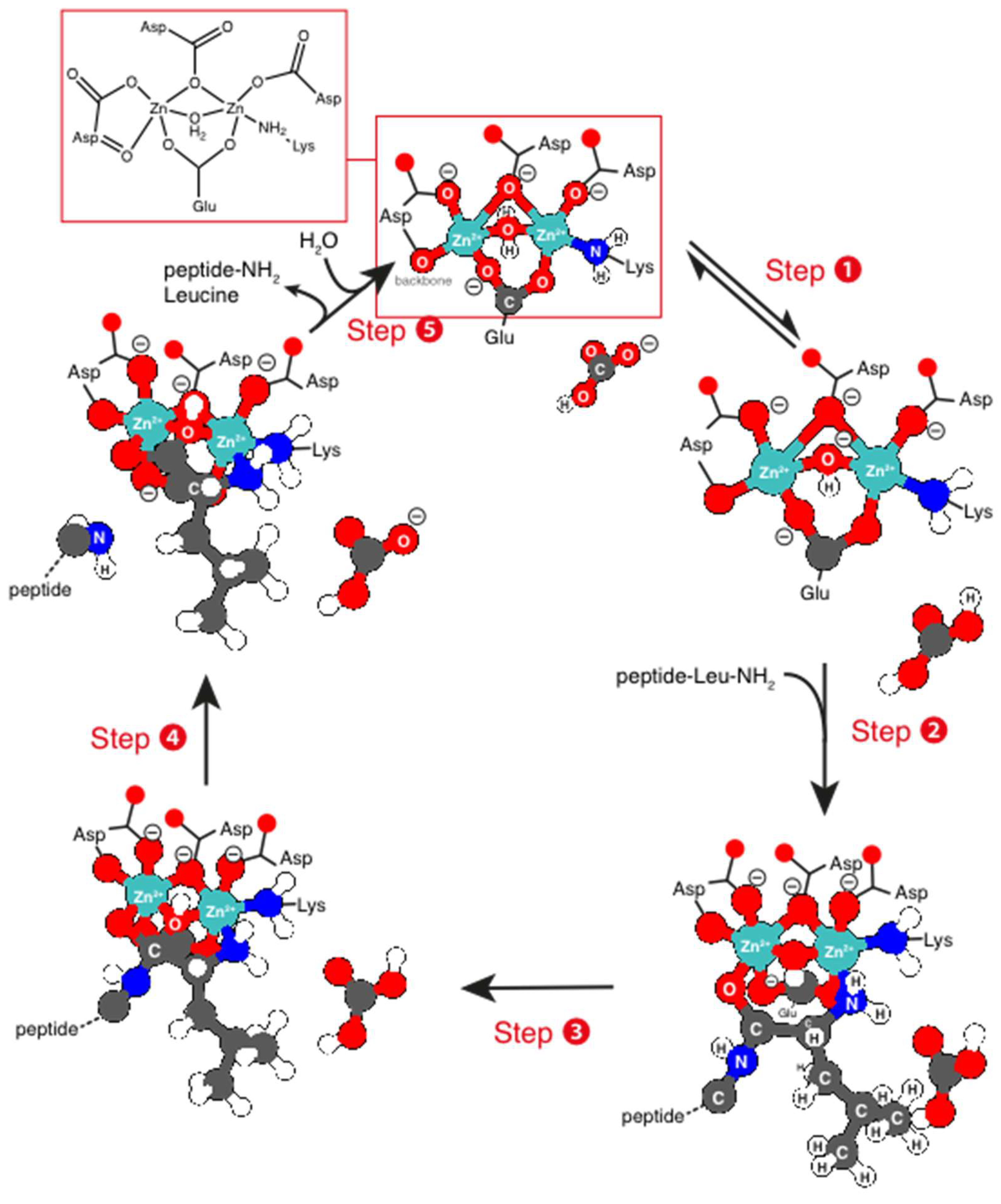 Molecules 24 02462 sch005