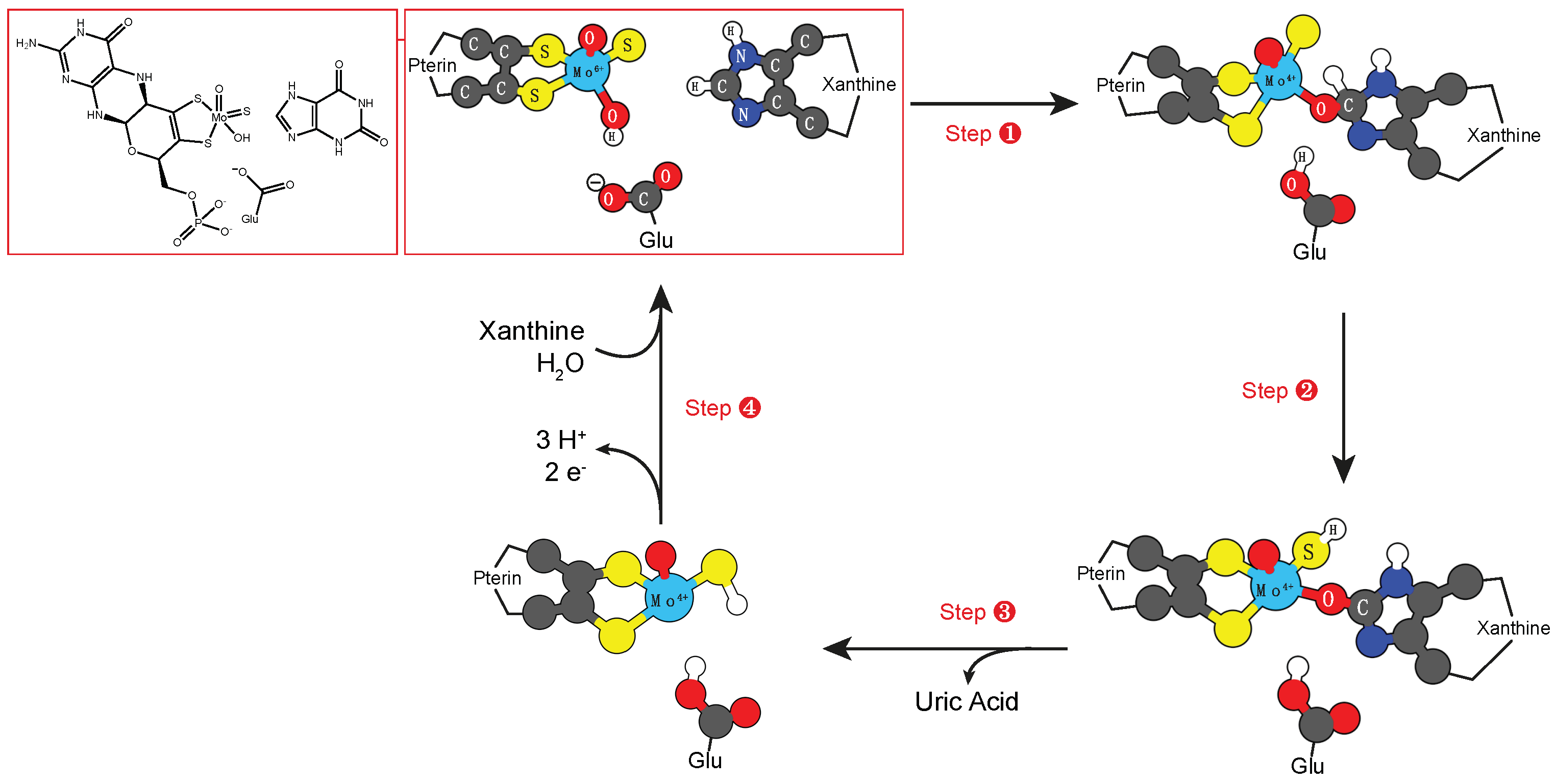 Molecules 24 02462 sch006