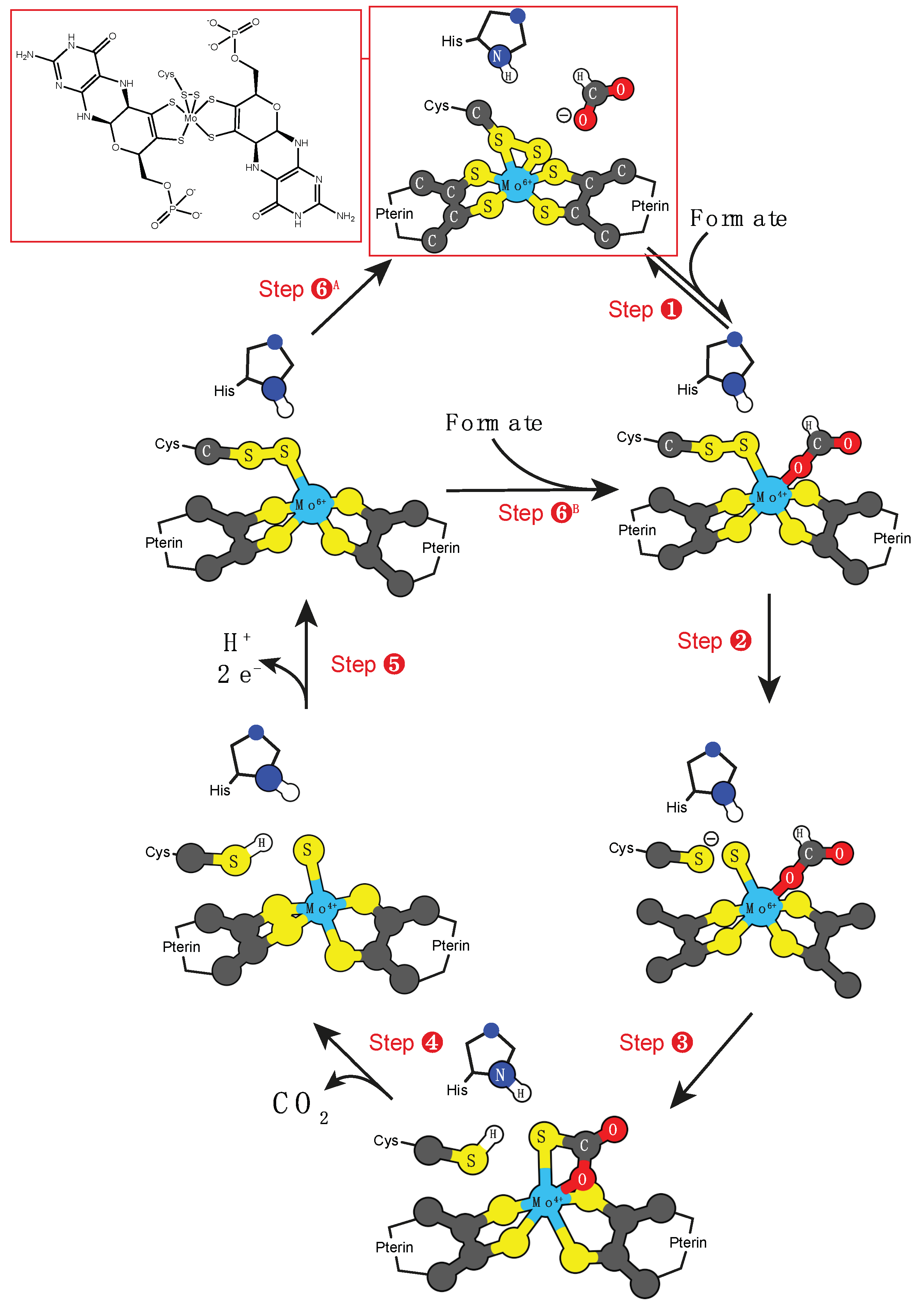 Molecules 24 02462 sch007