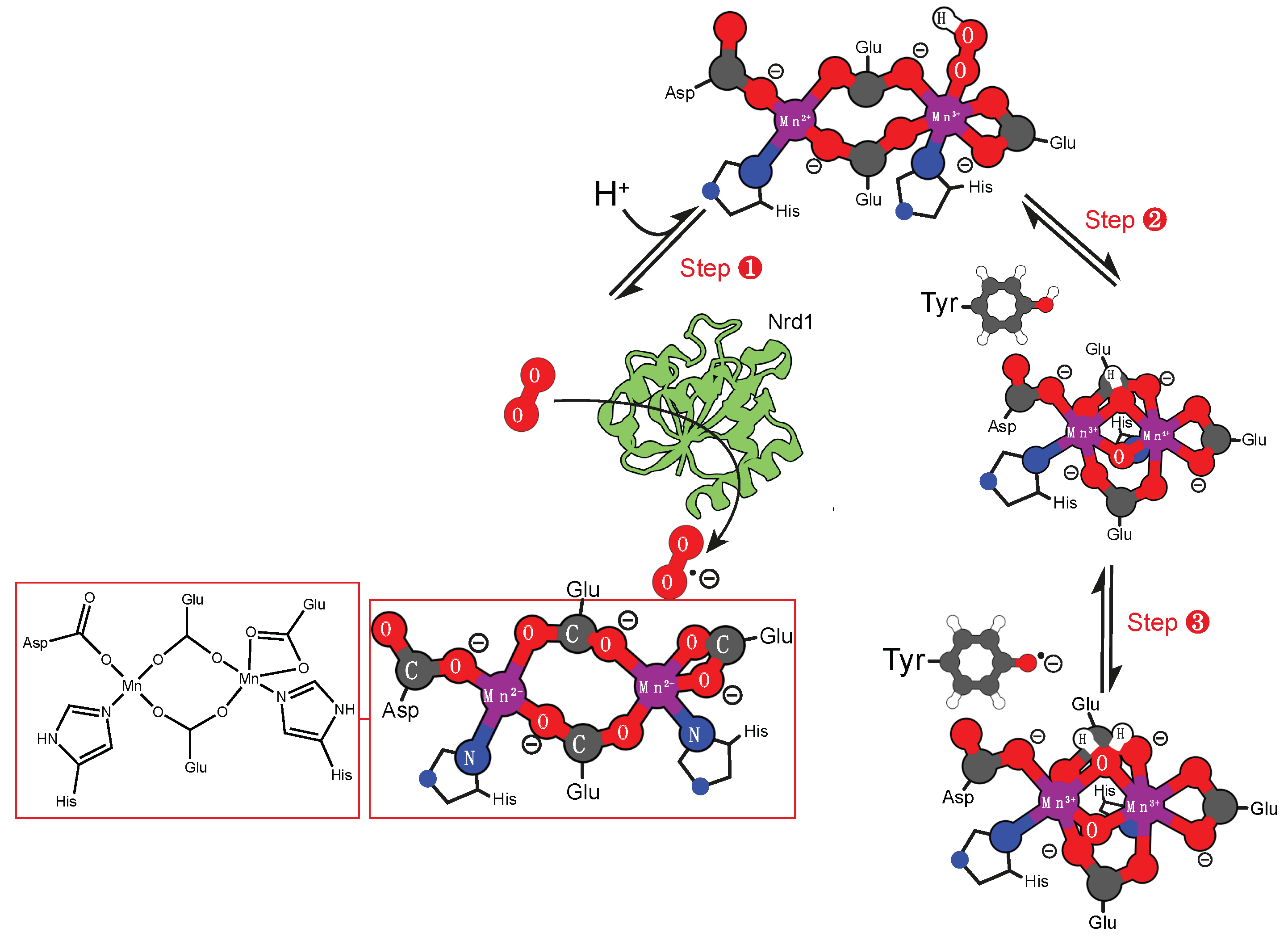 Molecules 24 02462 sch010