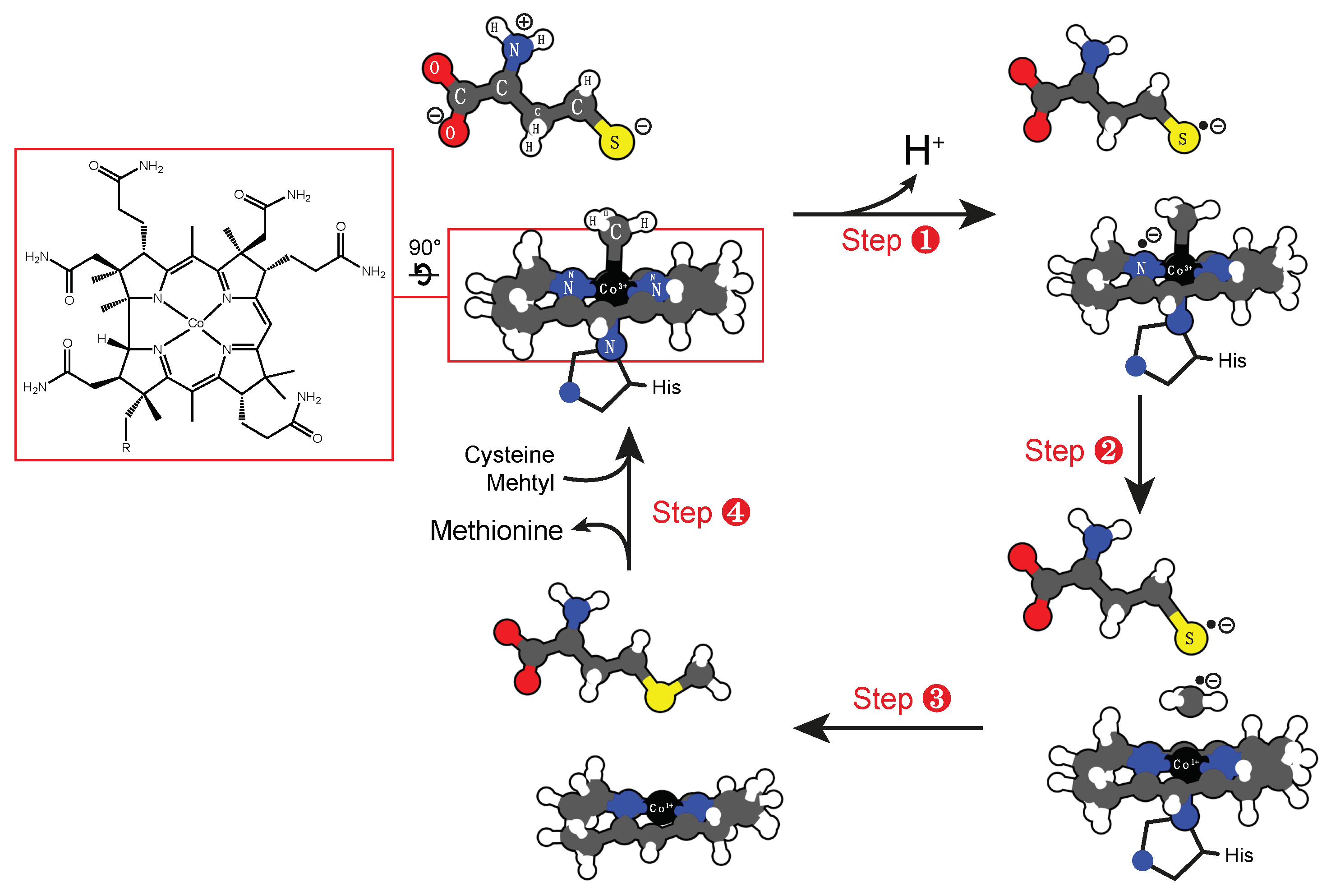 Molecules 24 02462 sch011