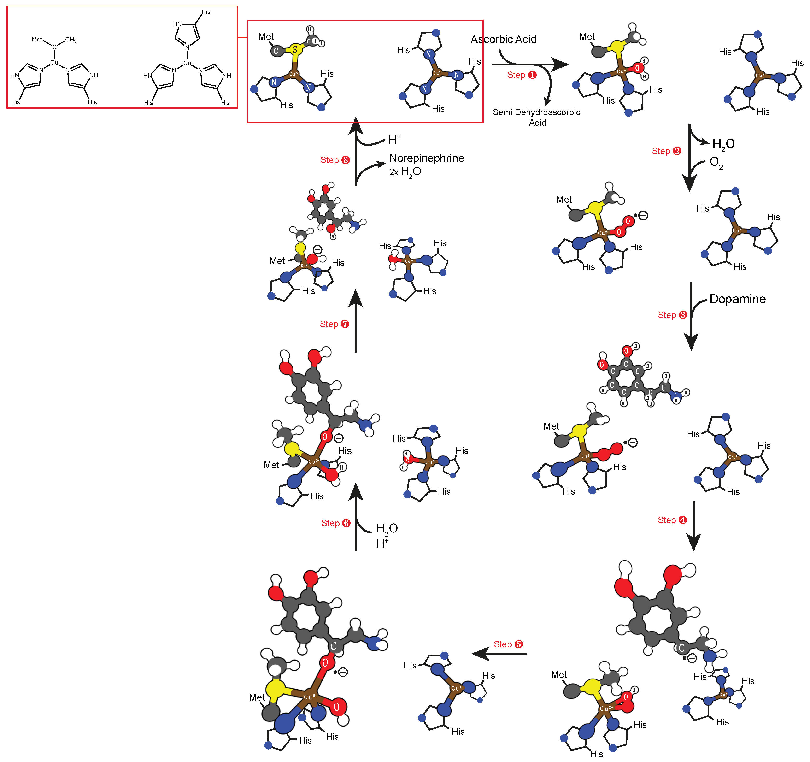 Molecules 24 02462 sch012