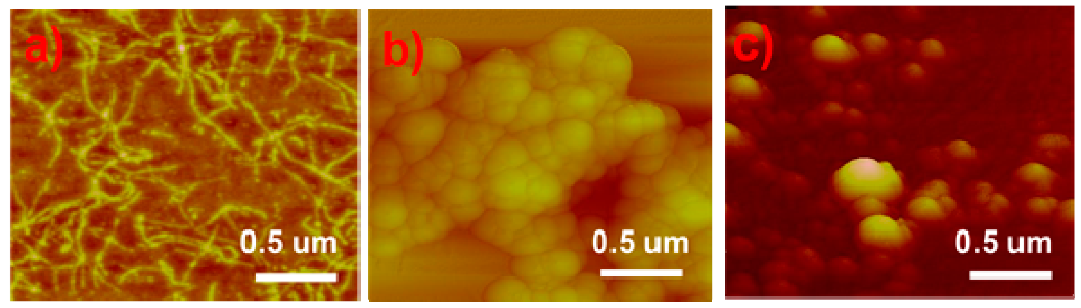 Molecules 24 02521 g002