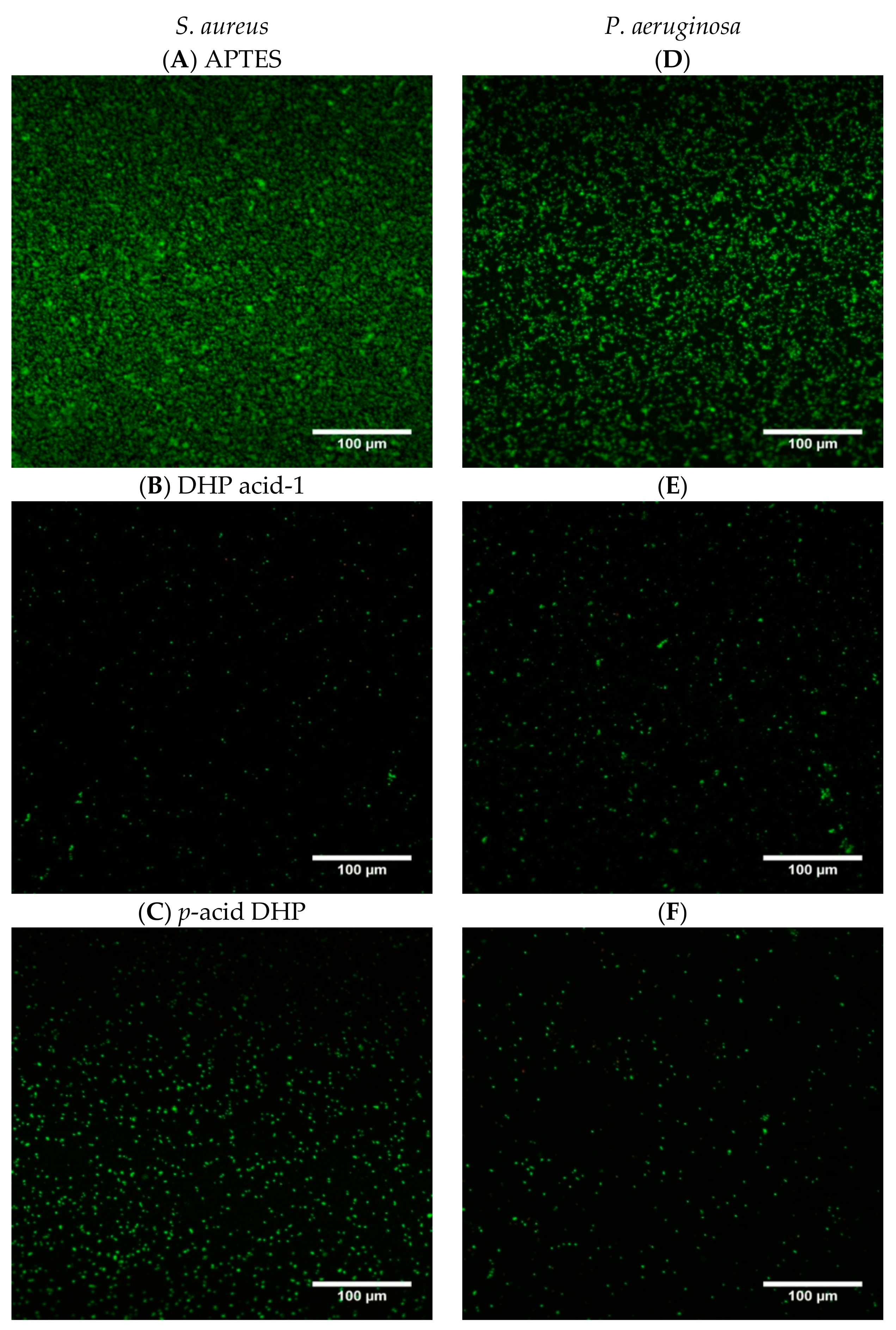 Molecules 24 02676 g004