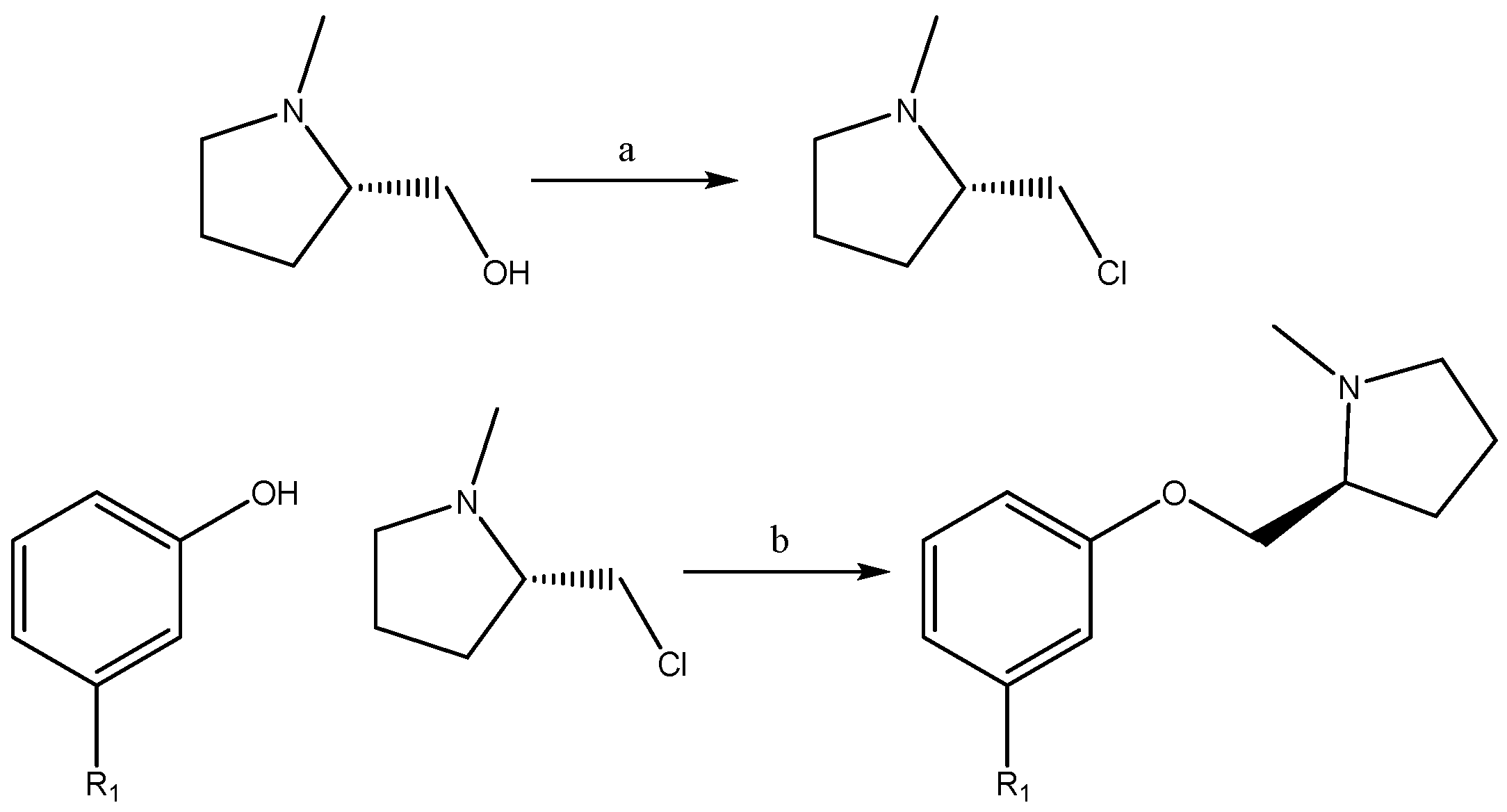 Molecules 24 02684 g003
