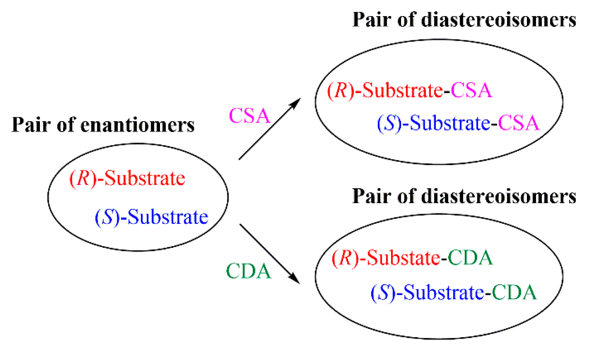 Molecules 24 02830 g001