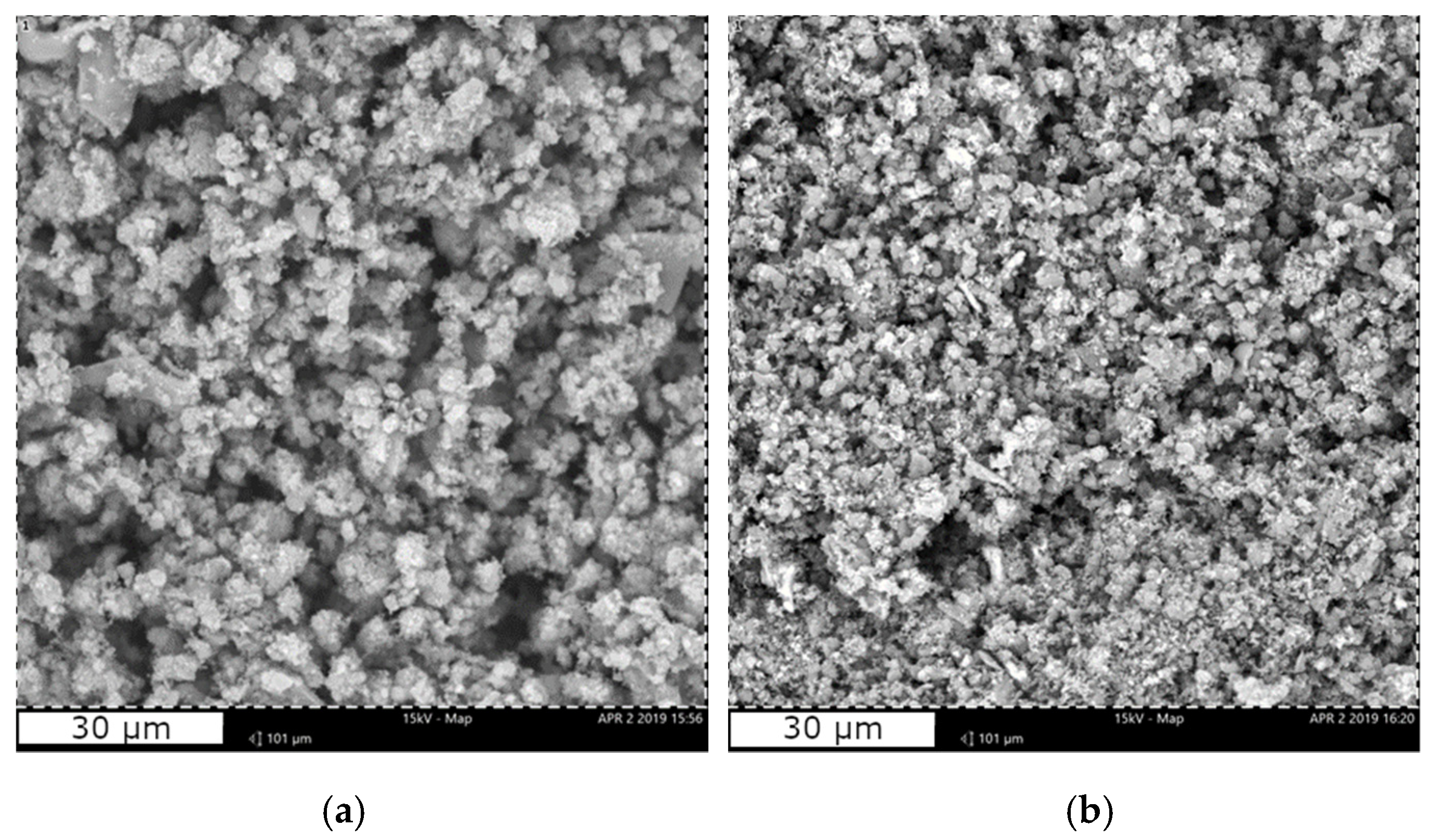 Molecules 24 03067 g001