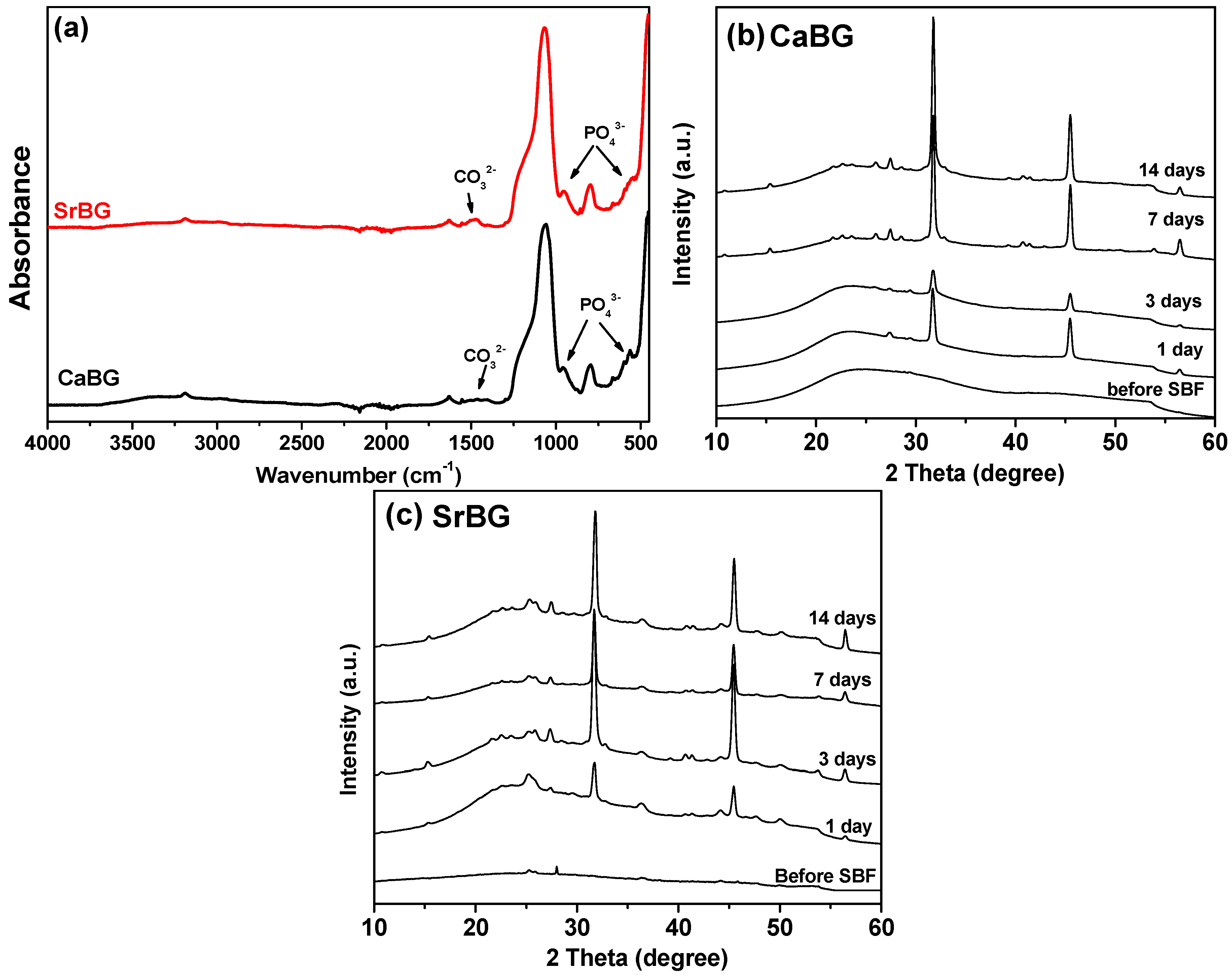 Molecules 24 03067 g005