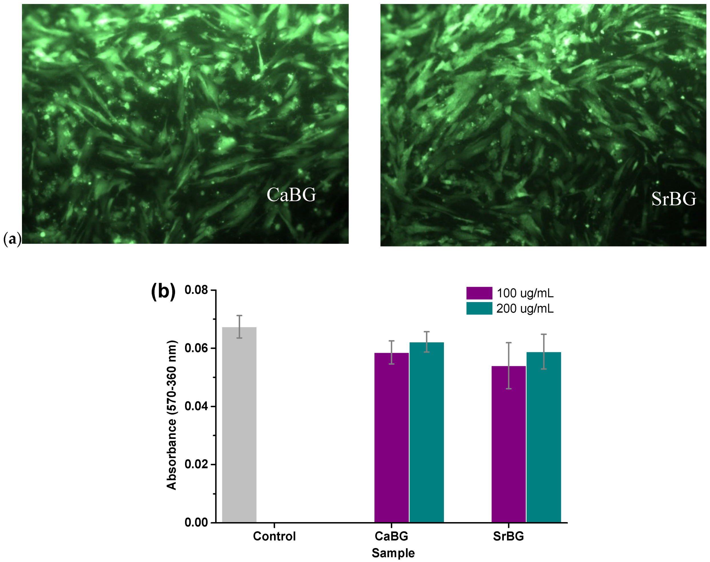 Molecules 24 03067 g006