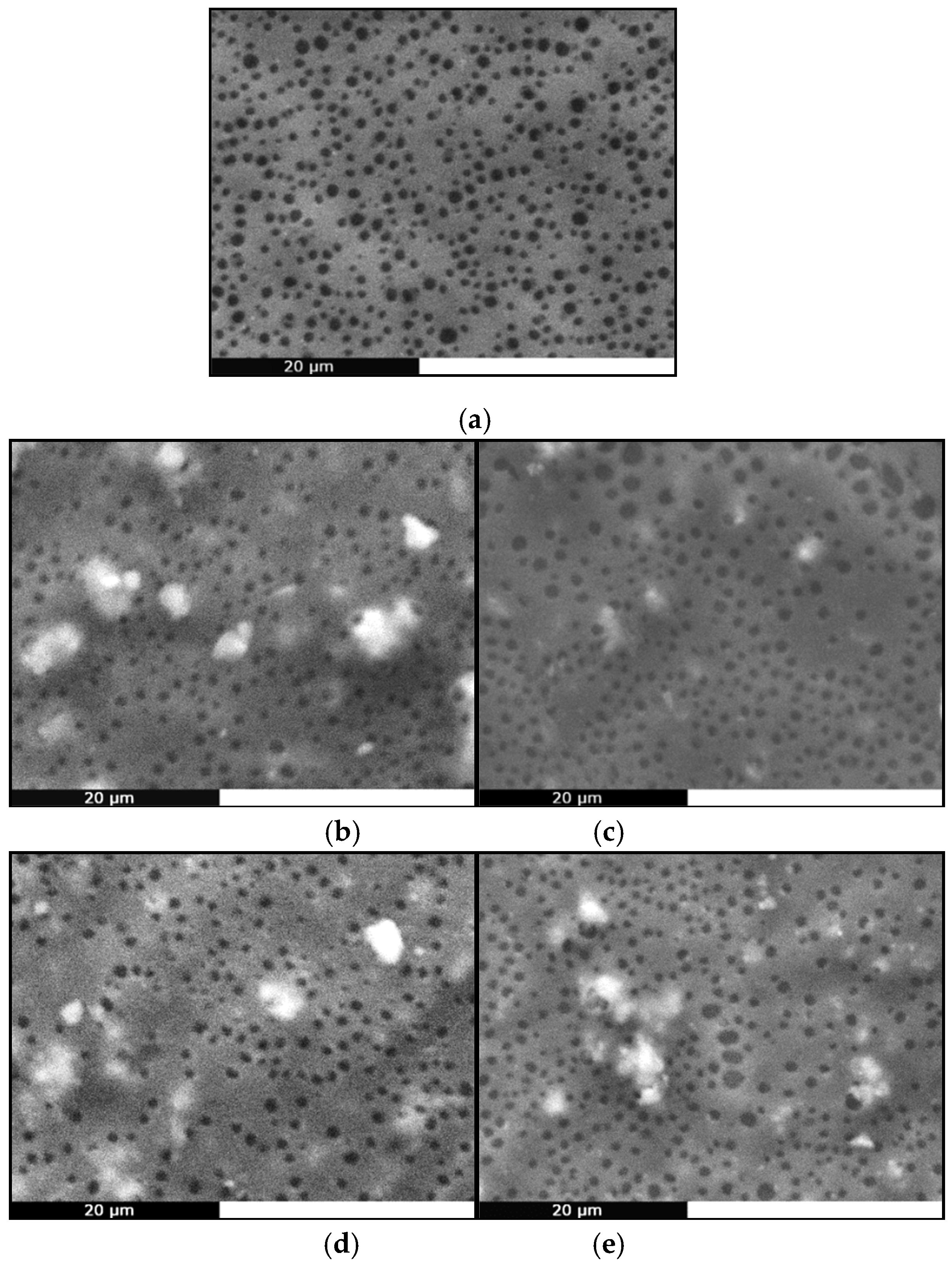 Molecules 24 03067 g009
