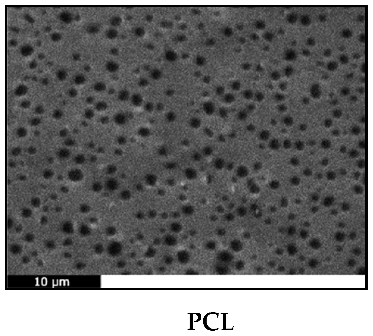 Molecules 24 03067 g012a