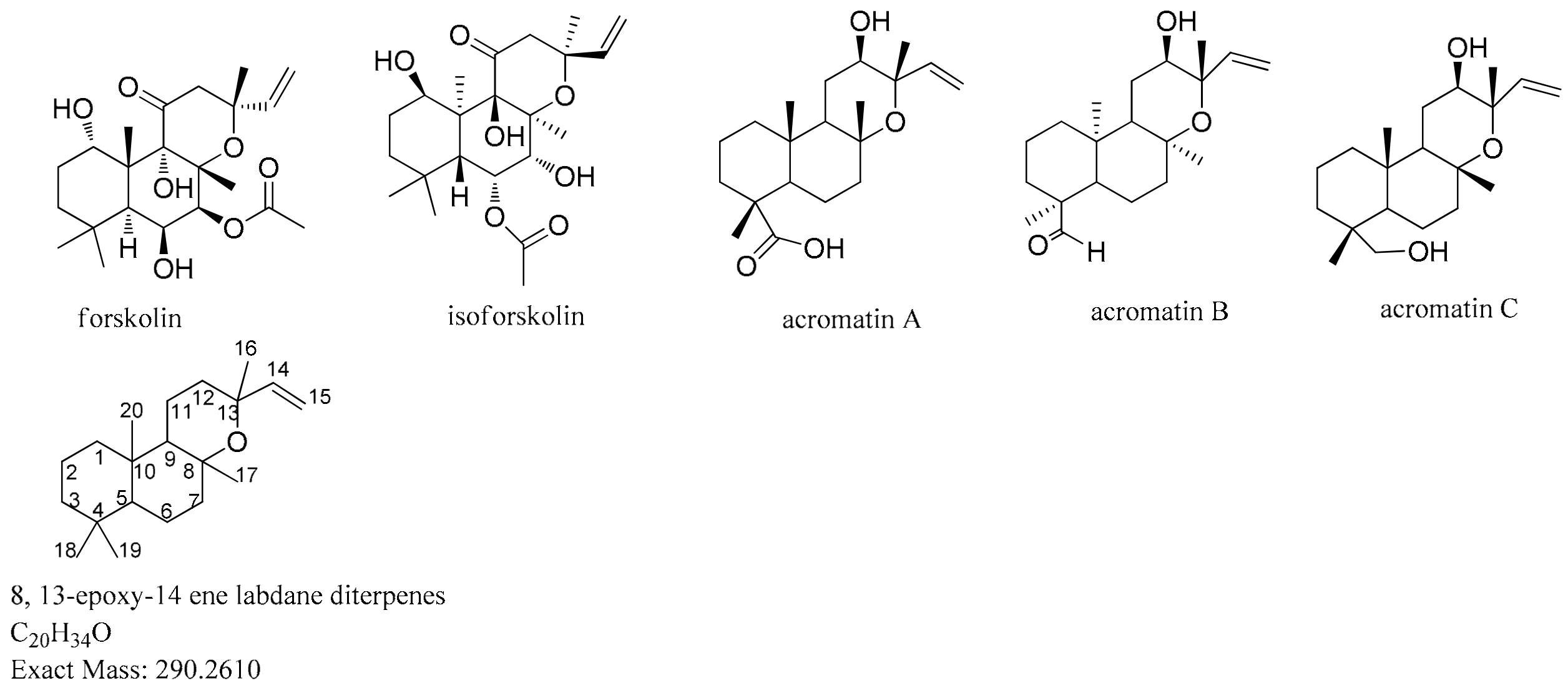 Molecules 24 03073 g002