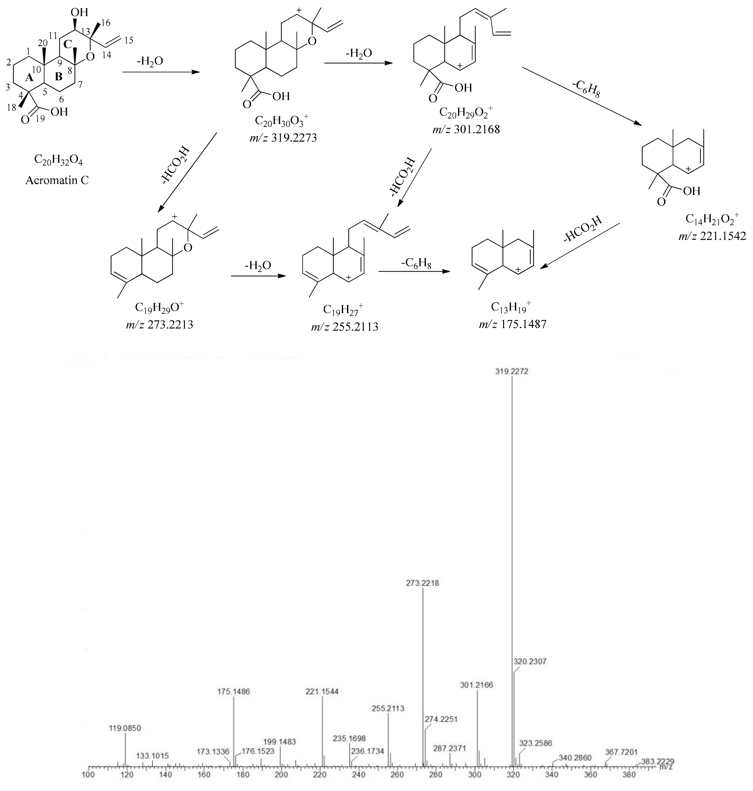 Molecules 24 03073 g005