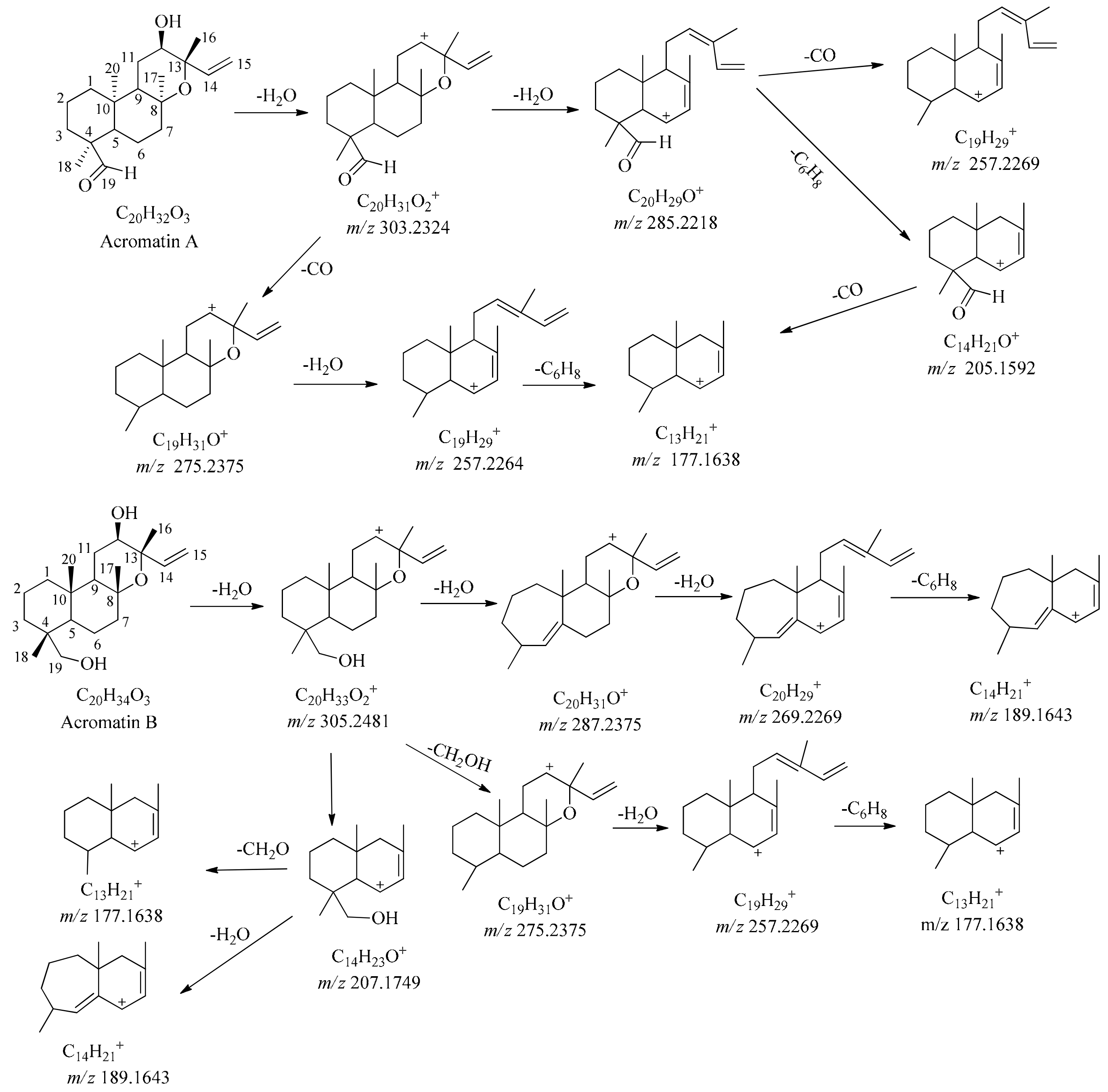 Molecules 24 03073 g006
