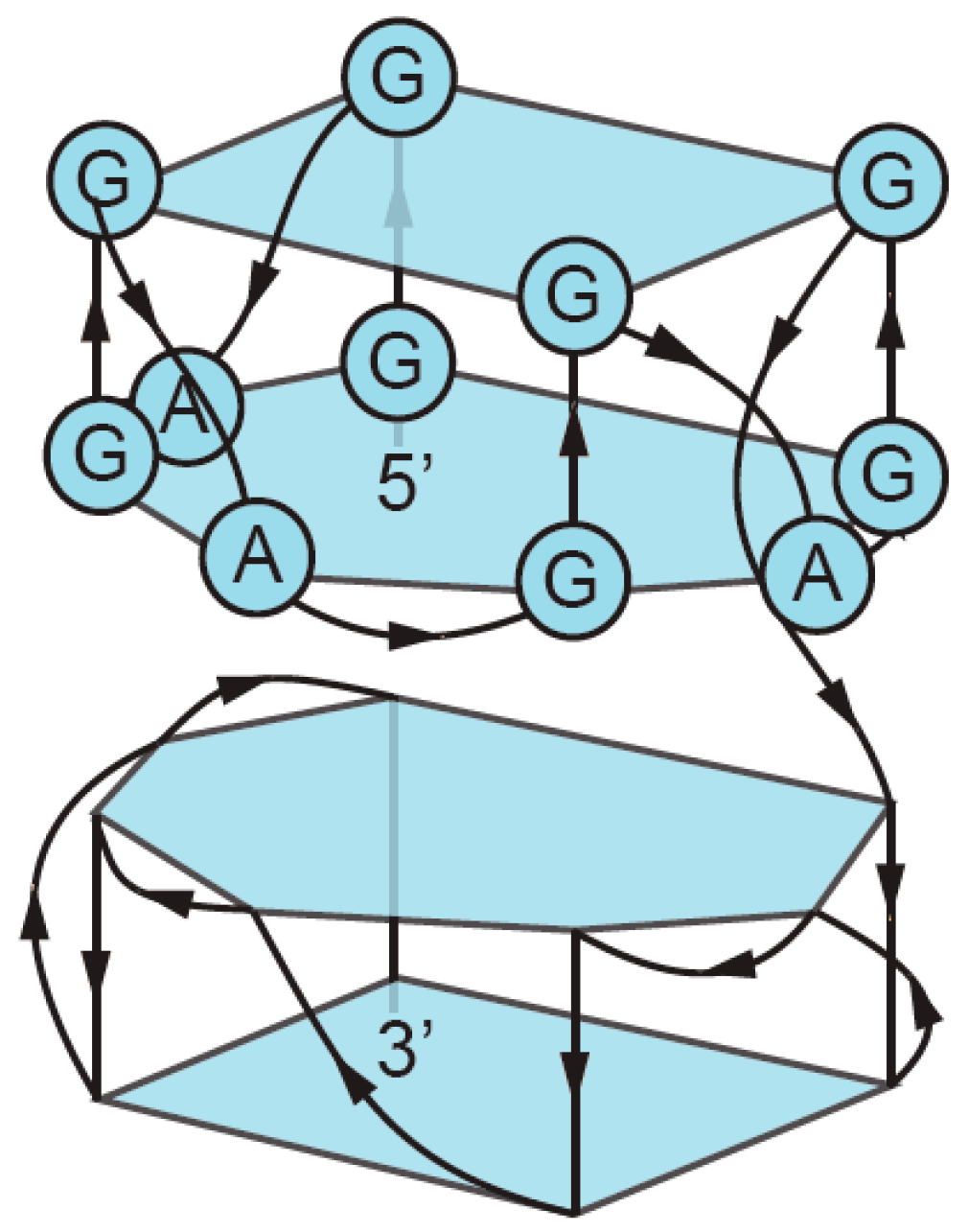 Molecules 24 03074 g009 Molecules 24 03074 g009