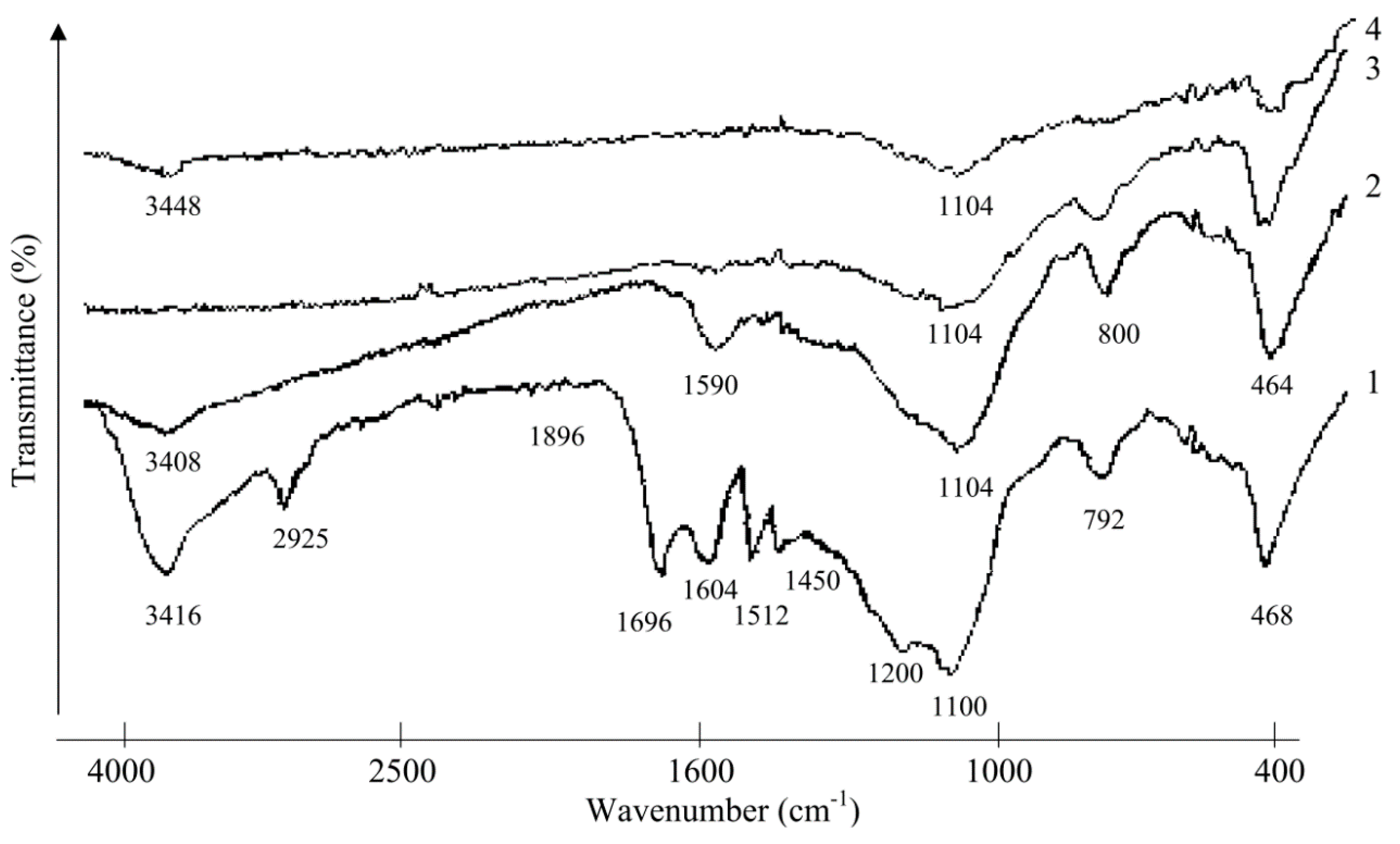 Molecules 24 03075 g001