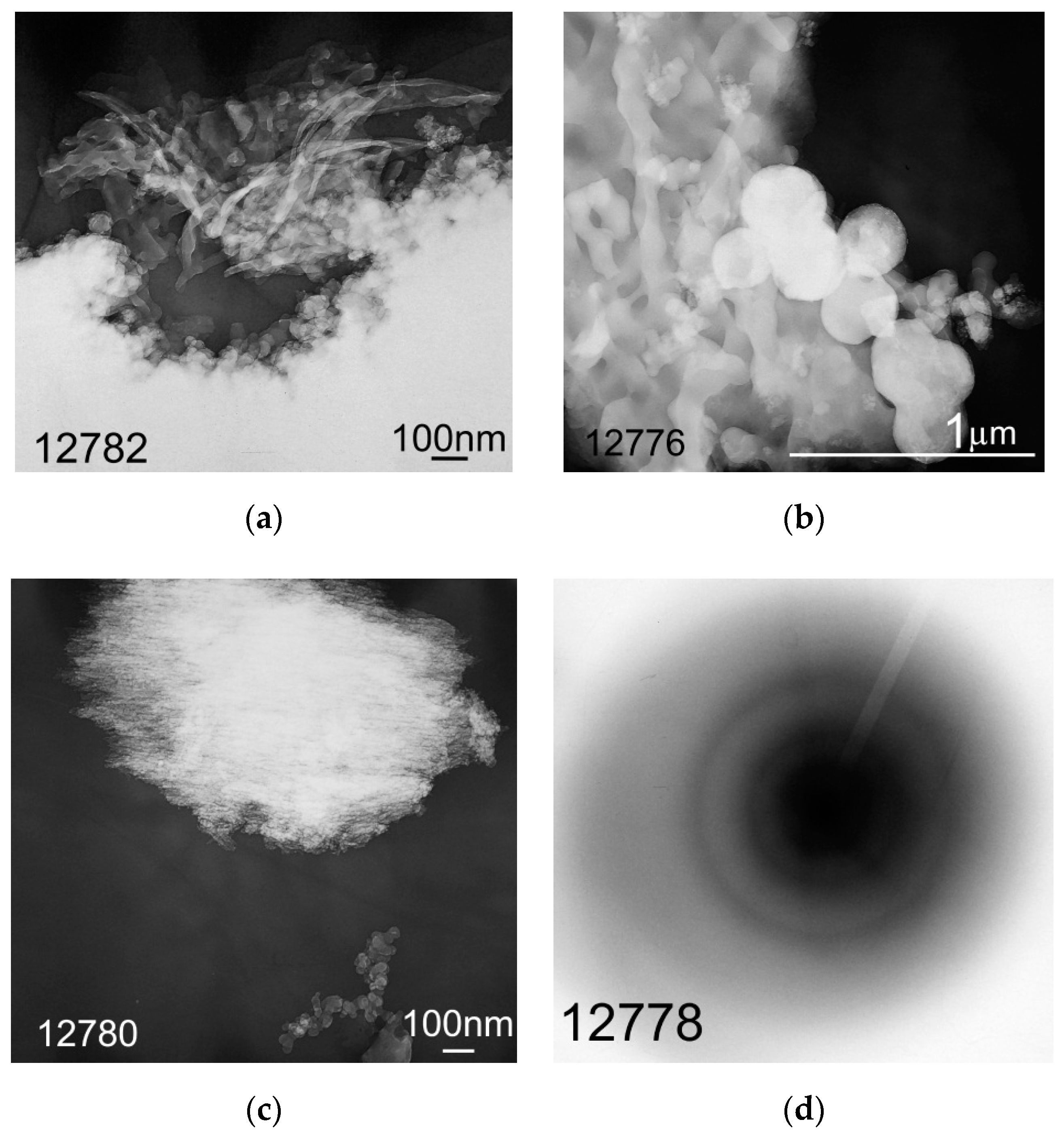 Molecules 24 03075 g007