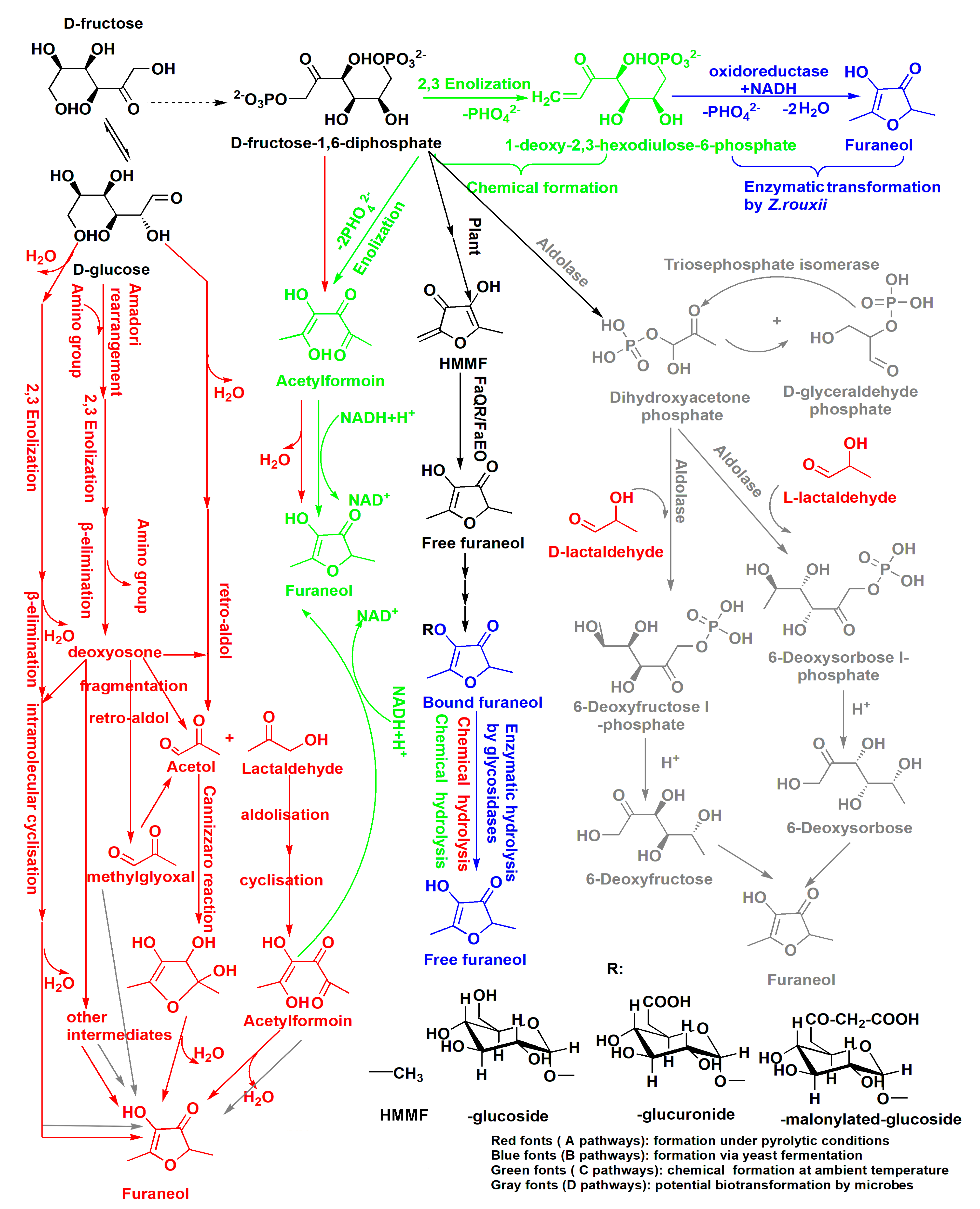 Molecules 24 03104 g003 Molecules 24 03104 g003