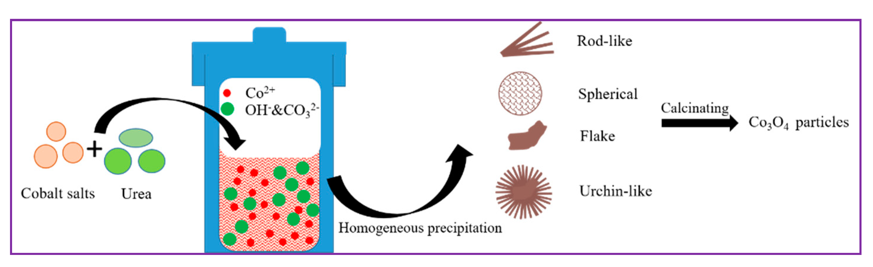 Molecules 24 03149 g001