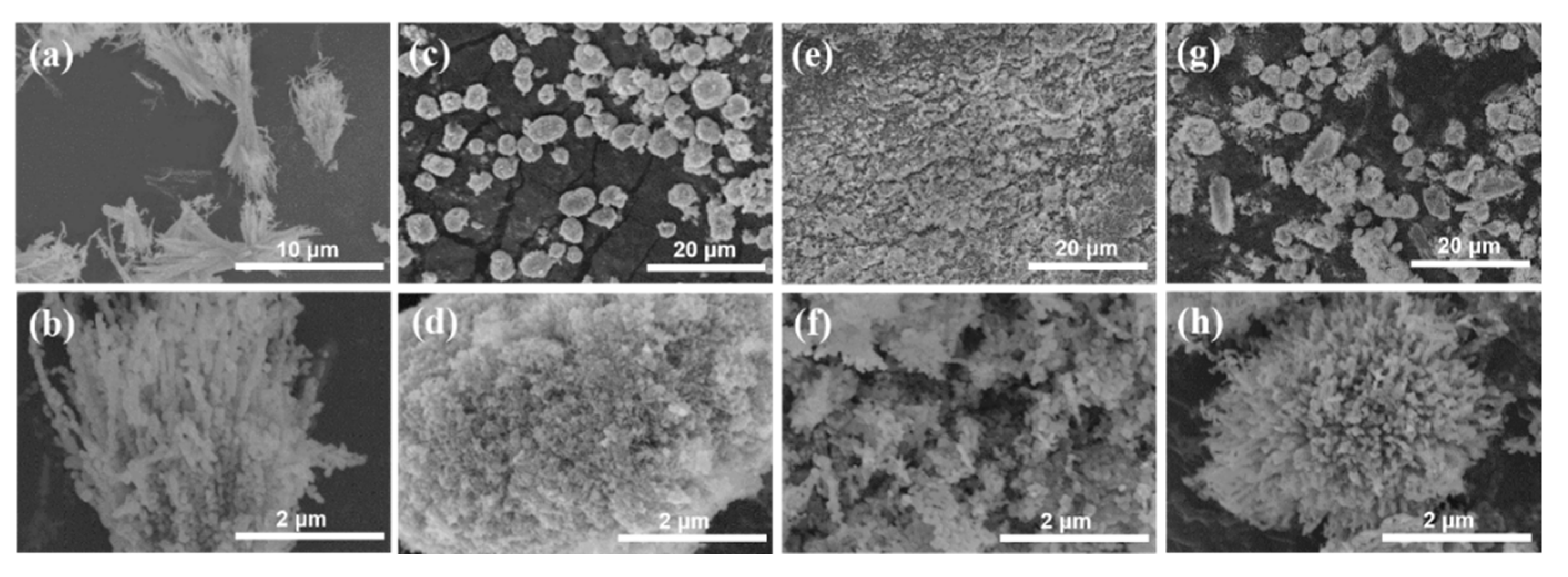 Molecules 24 03149 g004