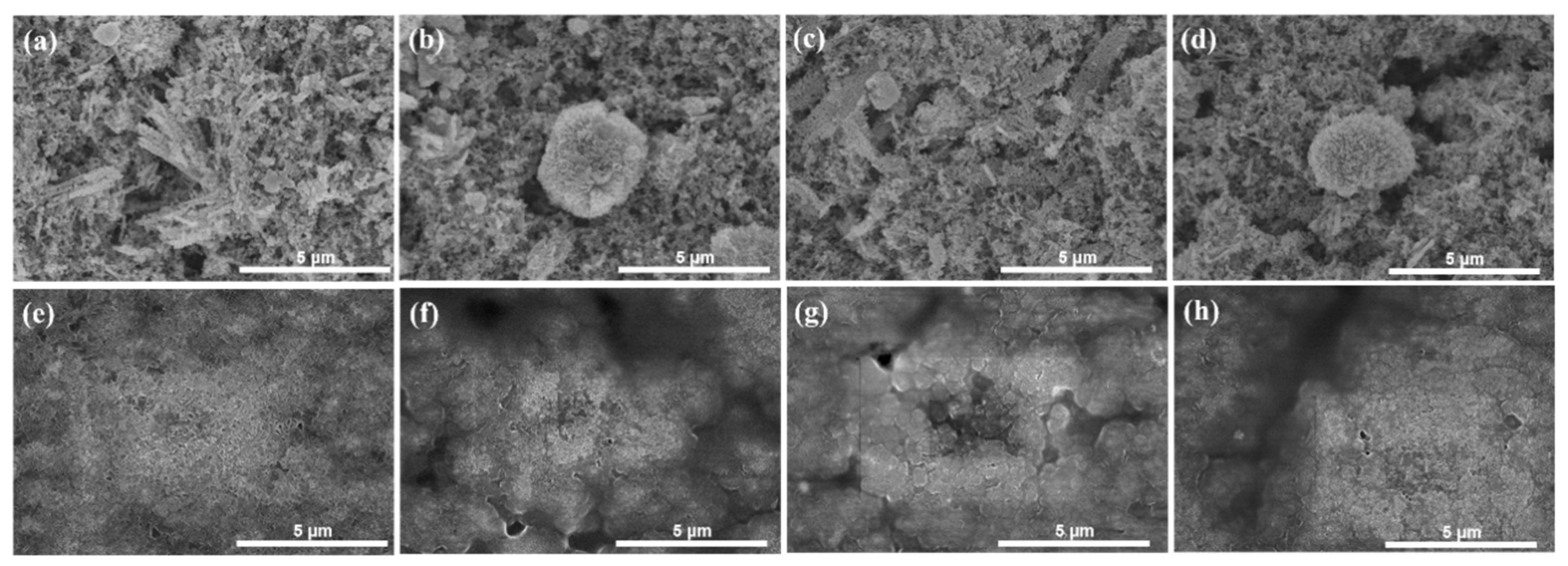 Molecules 24 03149 g011