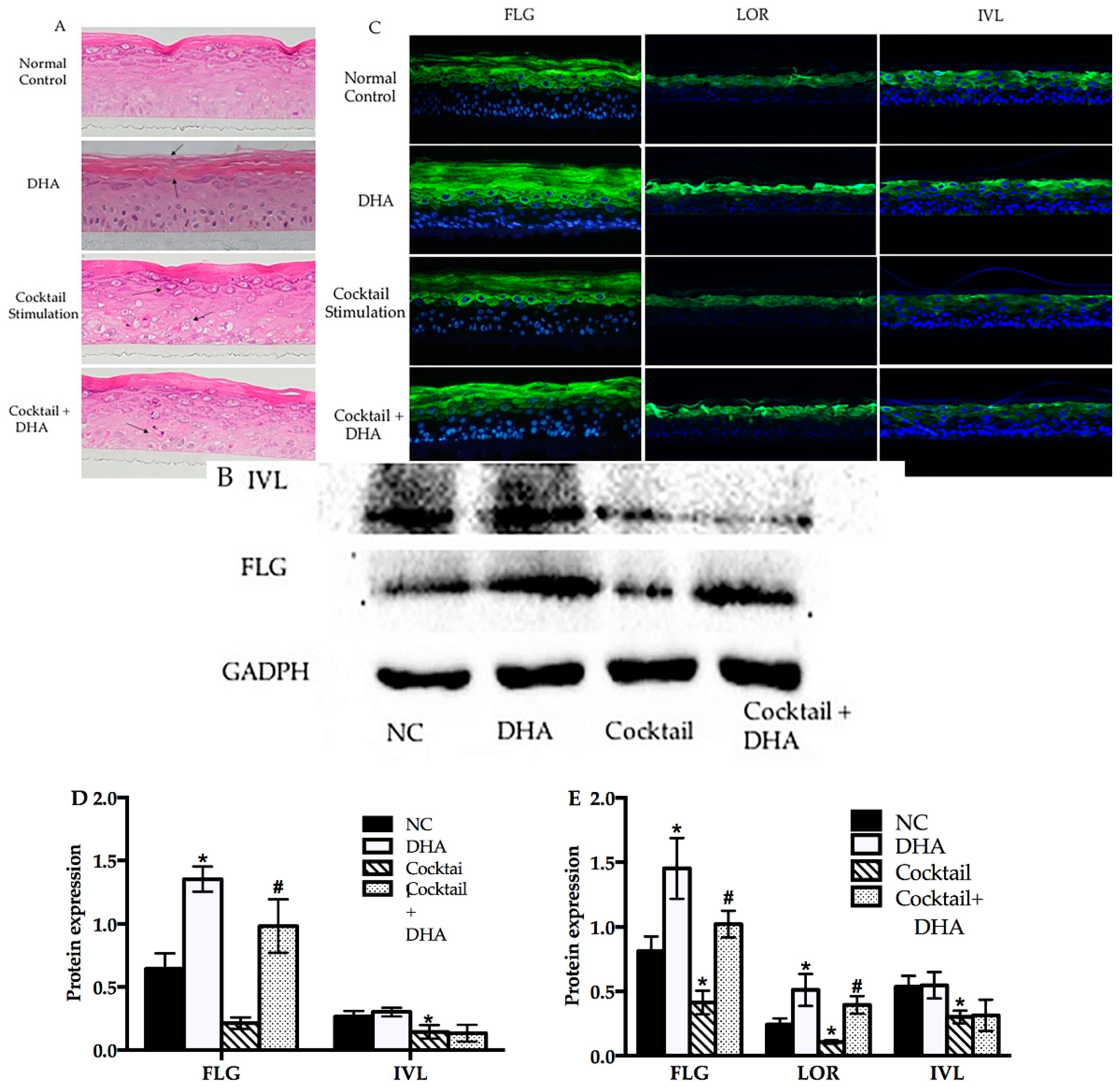 Molecules 24 03156 g004 Molecules 24 03156 g004