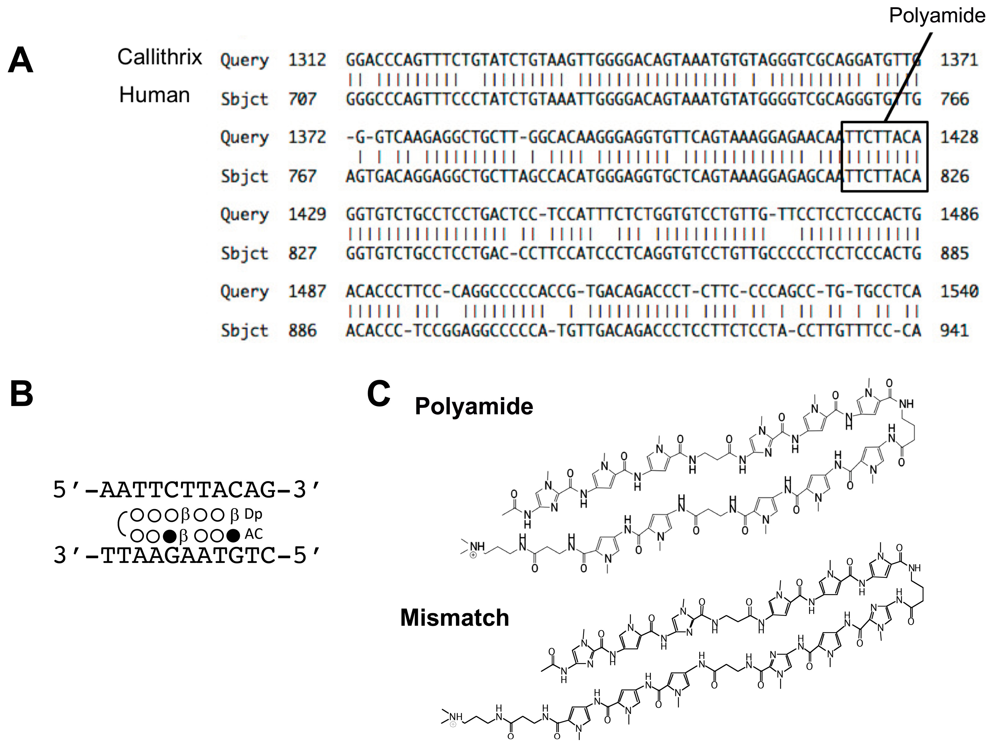 Molecules 24 03178 g002