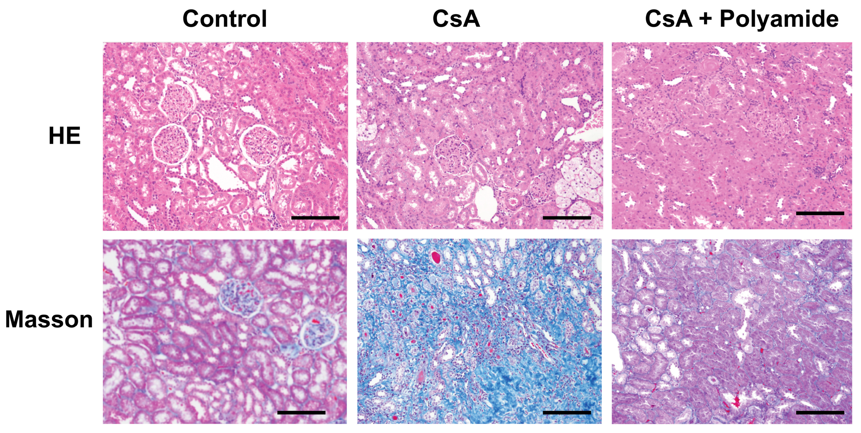 Molecules 24 03178 g003