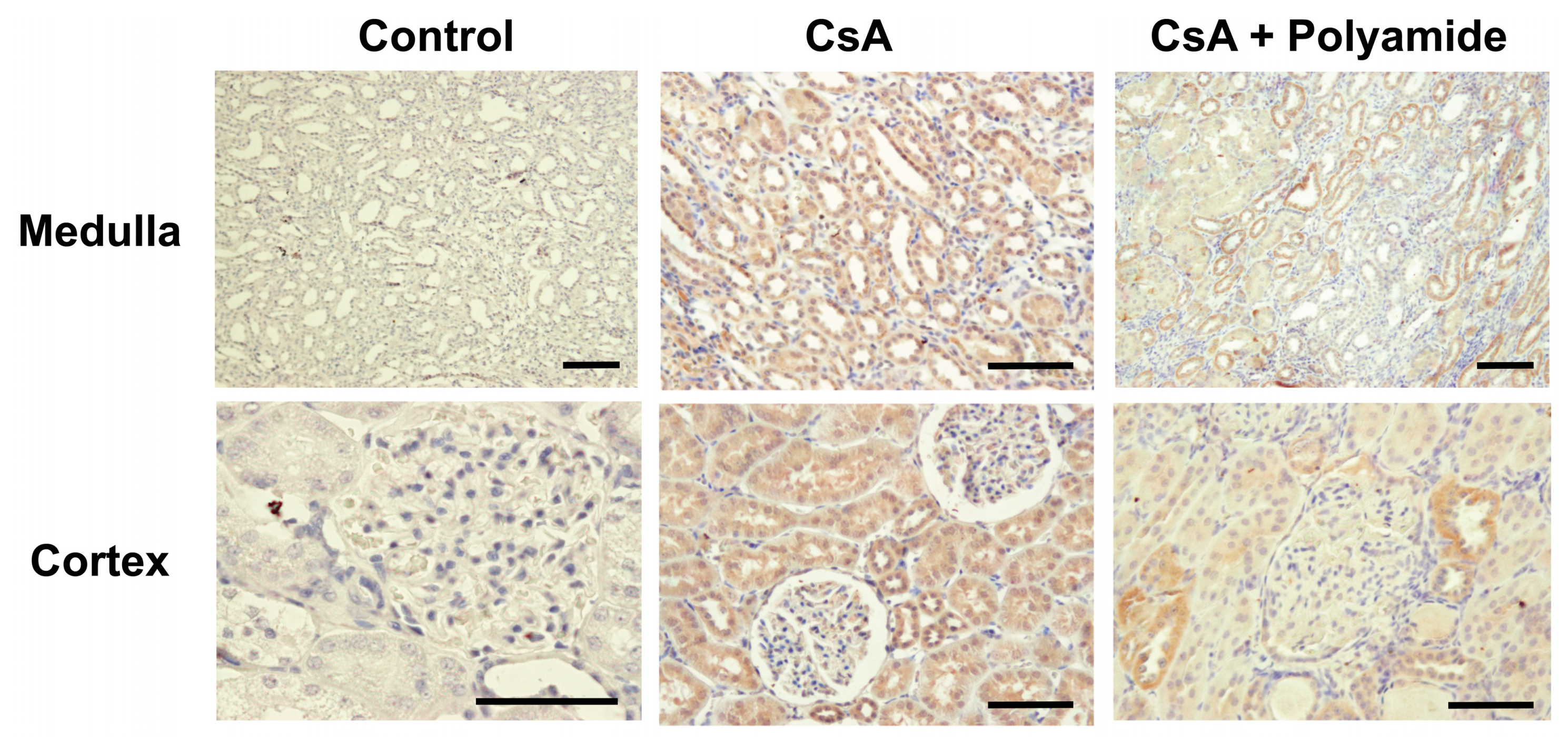 Molecules 24 03178 g004