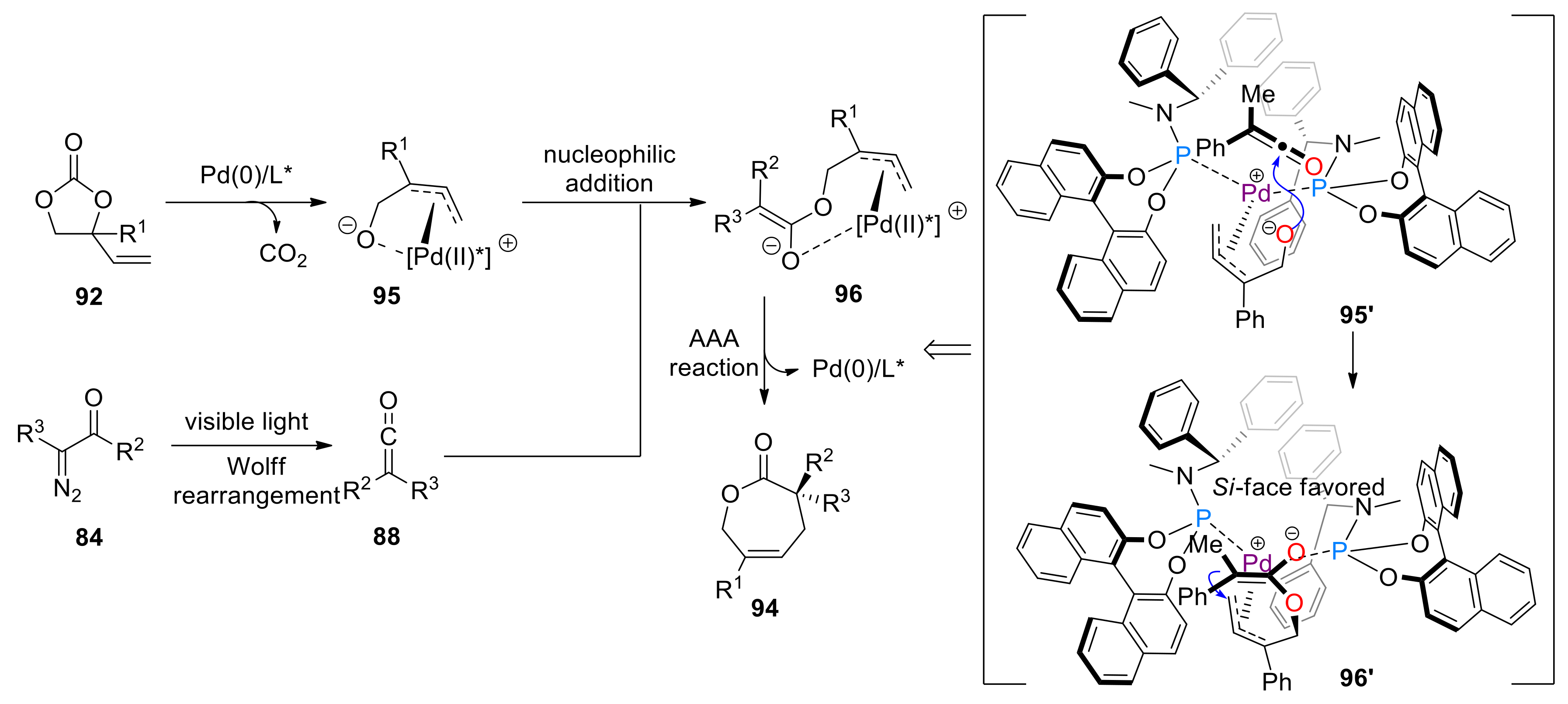 Molecules 24 03191 sch025 Molecules 24 03191 sch025