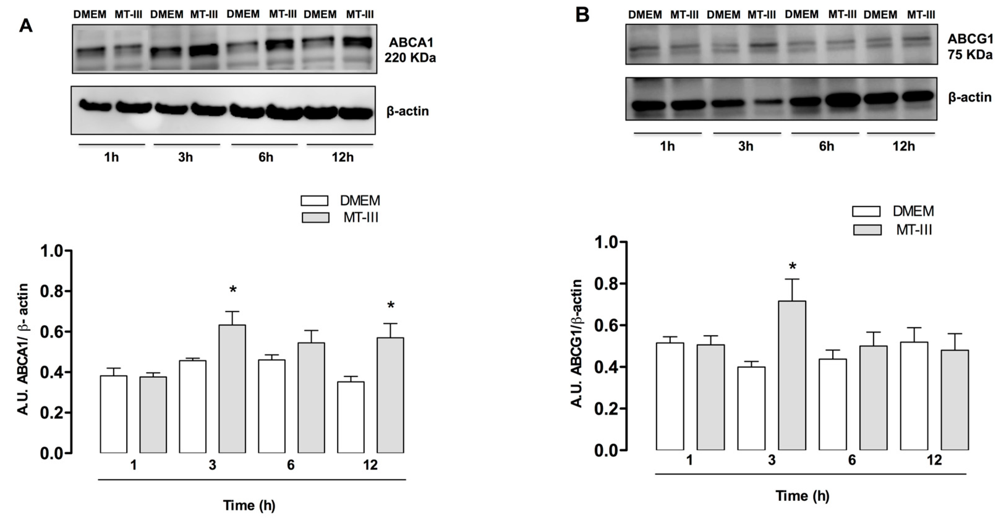 Molecules 24 03244 g005