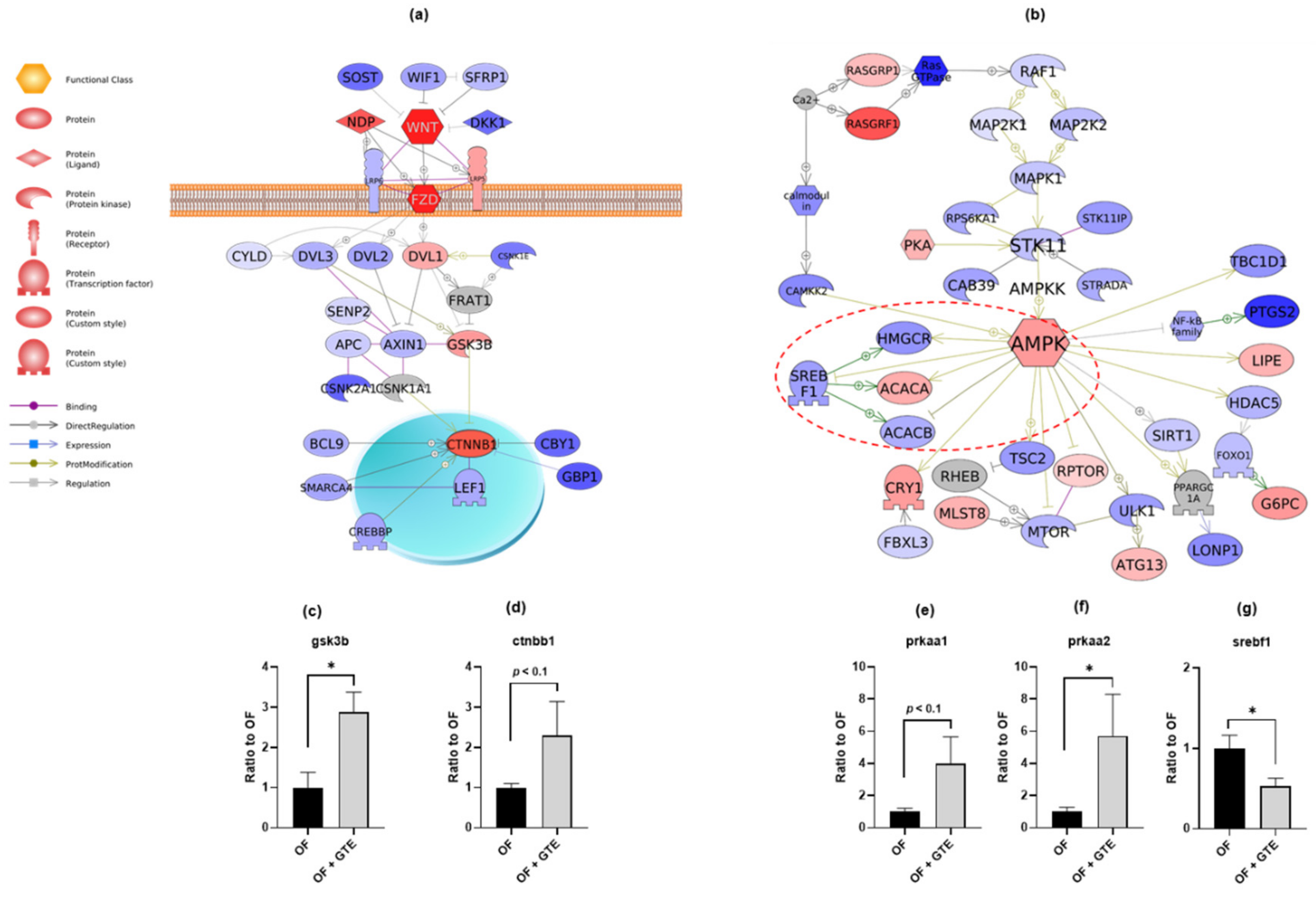 Molecules 24 03256 g003