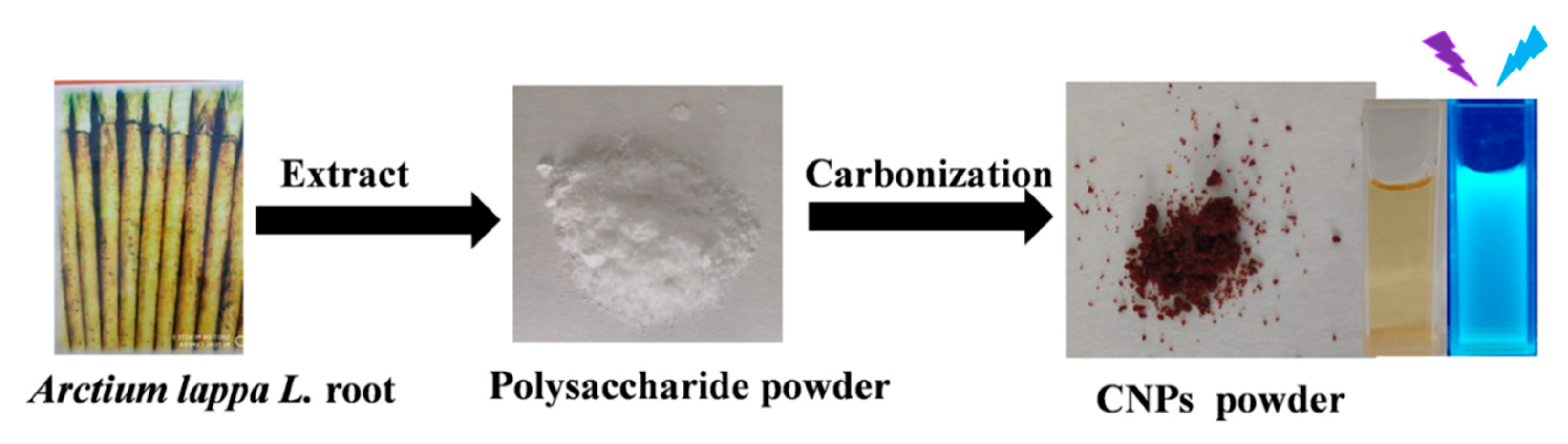 Molecules 24 03257 sch001 Molecules 24 03257 sch001