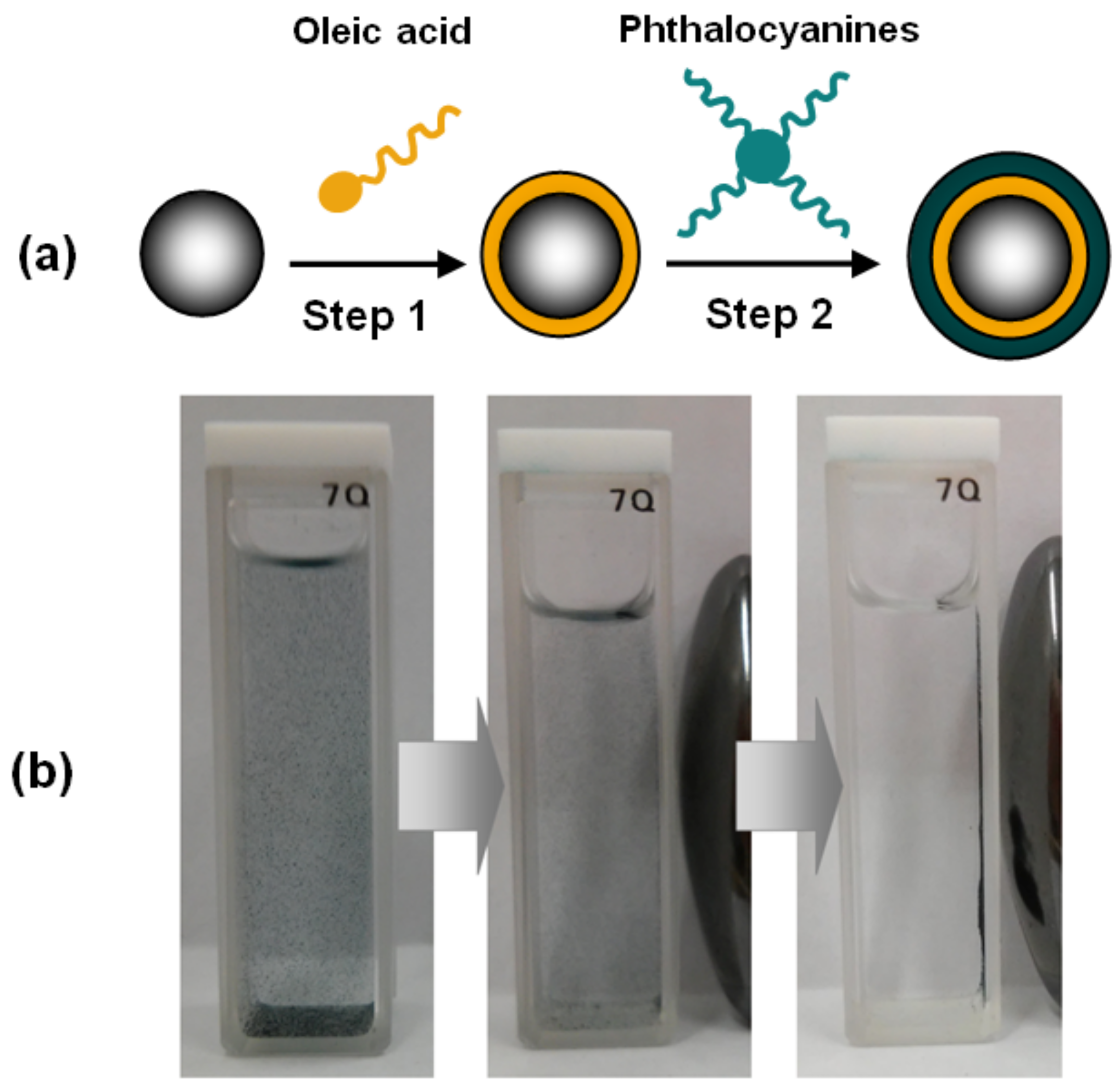 Molecules 24 03284 g008