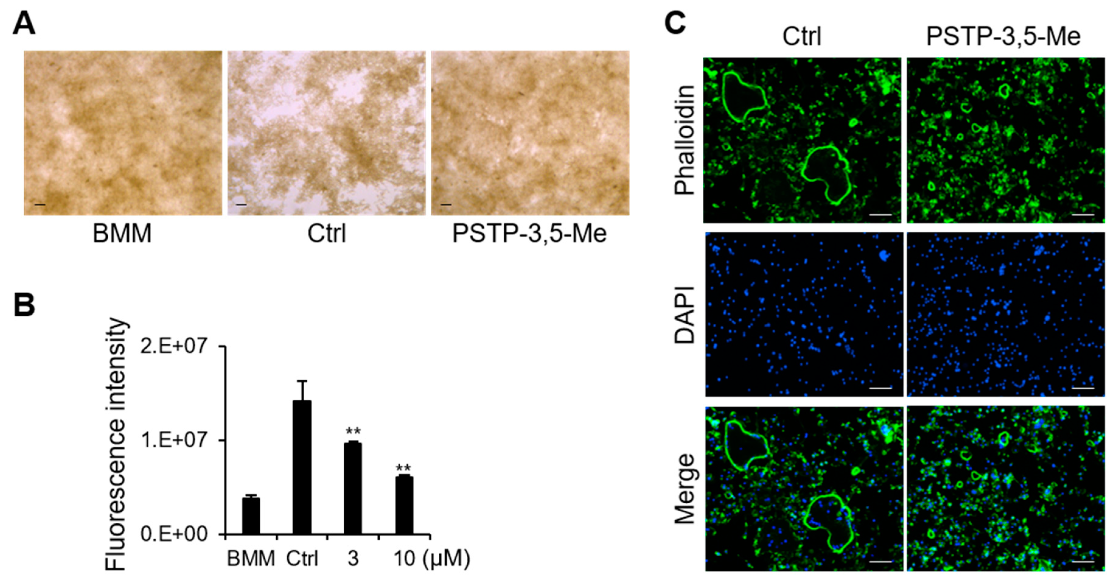 Molecules 24 03346 g005