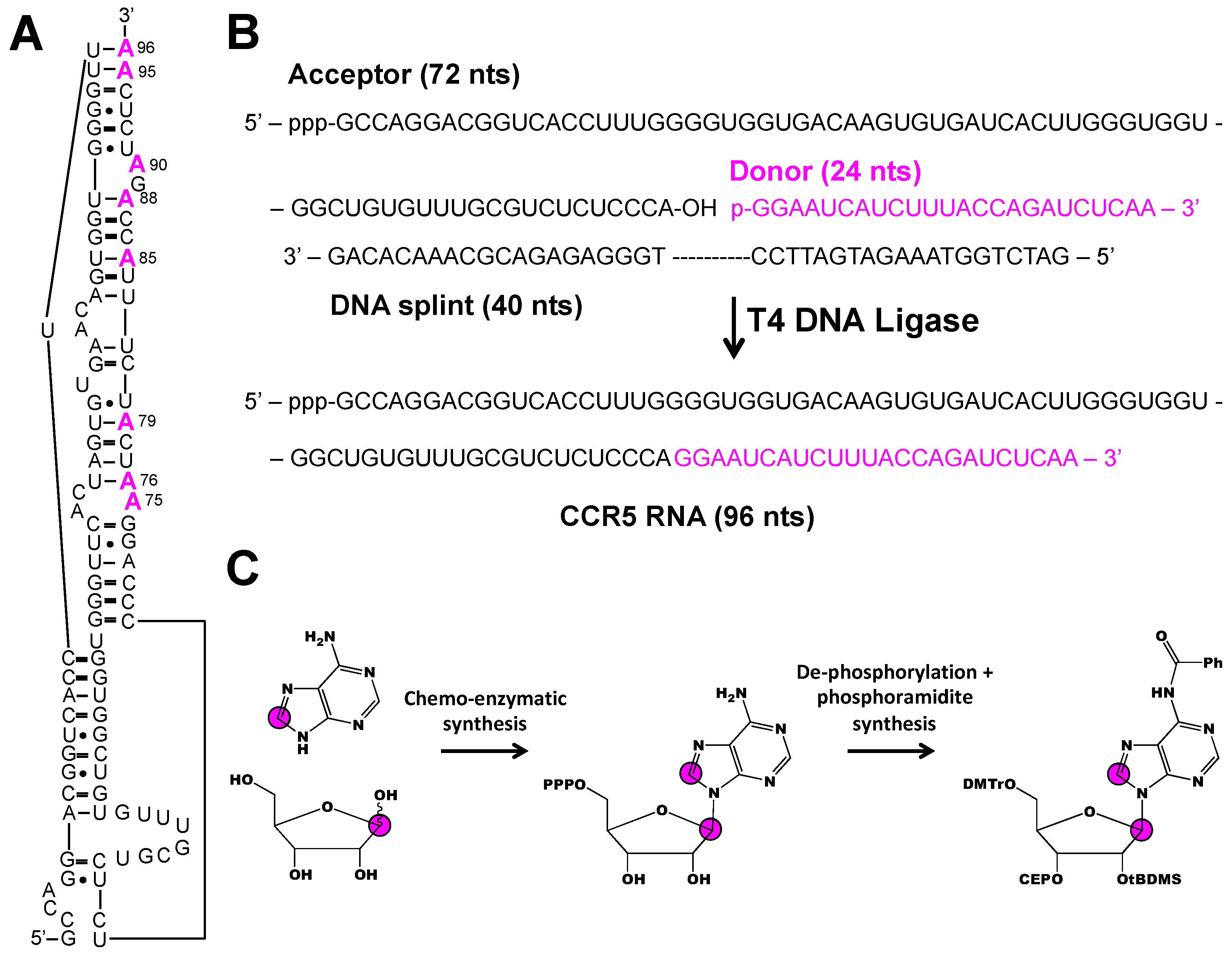 Molecules 24 03476 g006