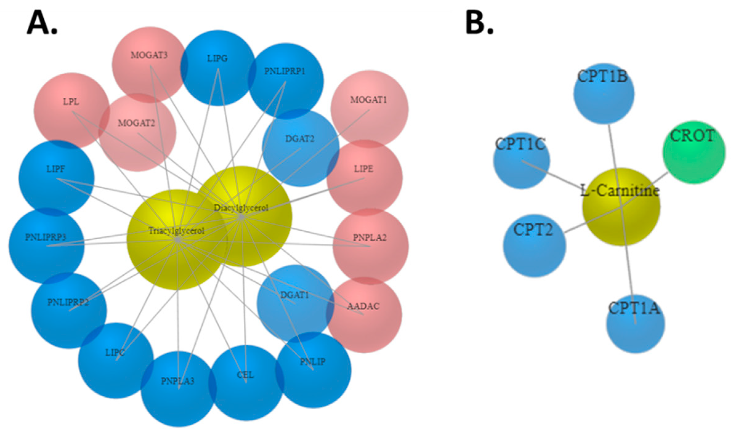 Molecules 24 03615 g0a6 Molecules 24 03615 g0a6