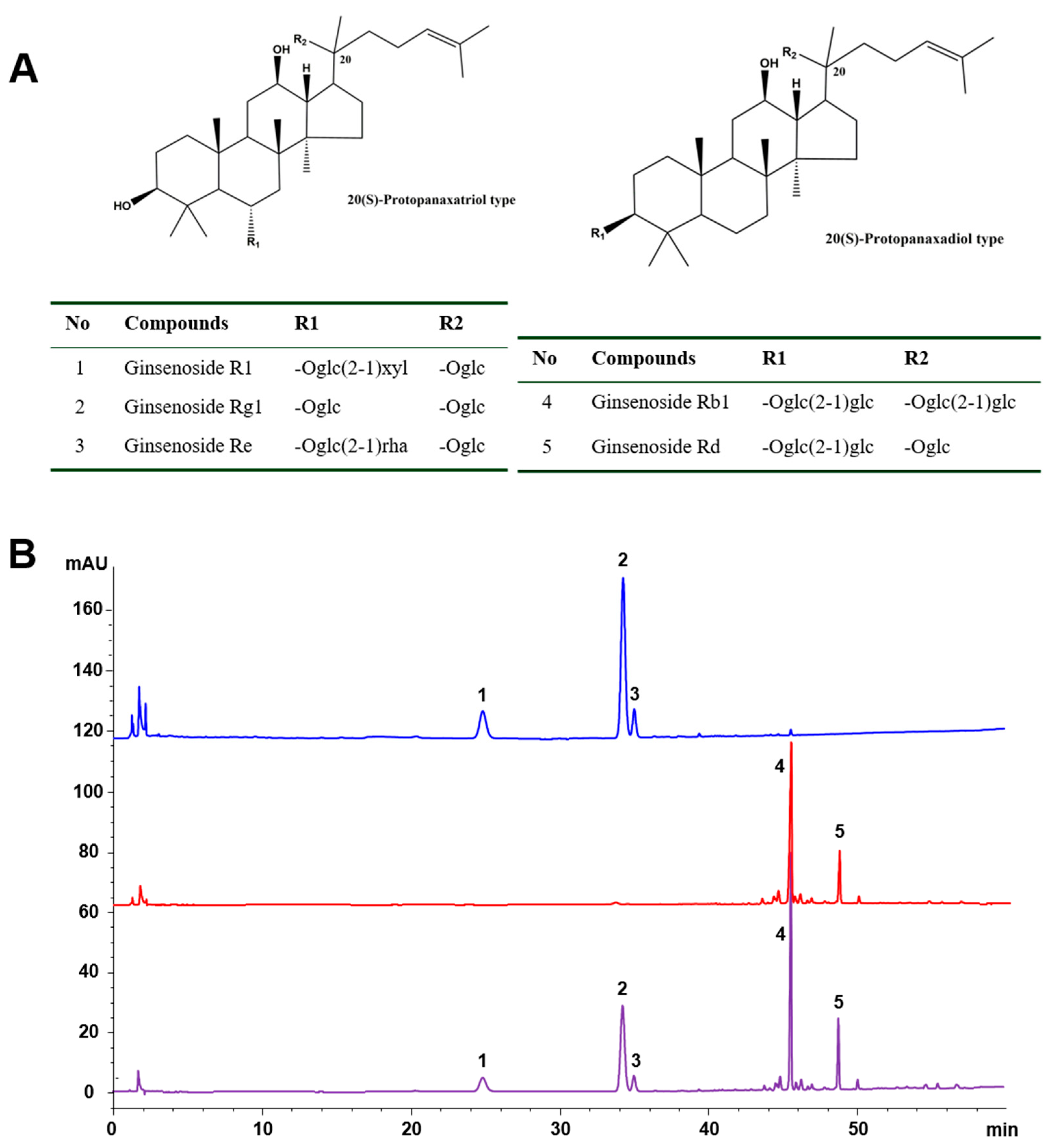 Molecules 24 03723 g001