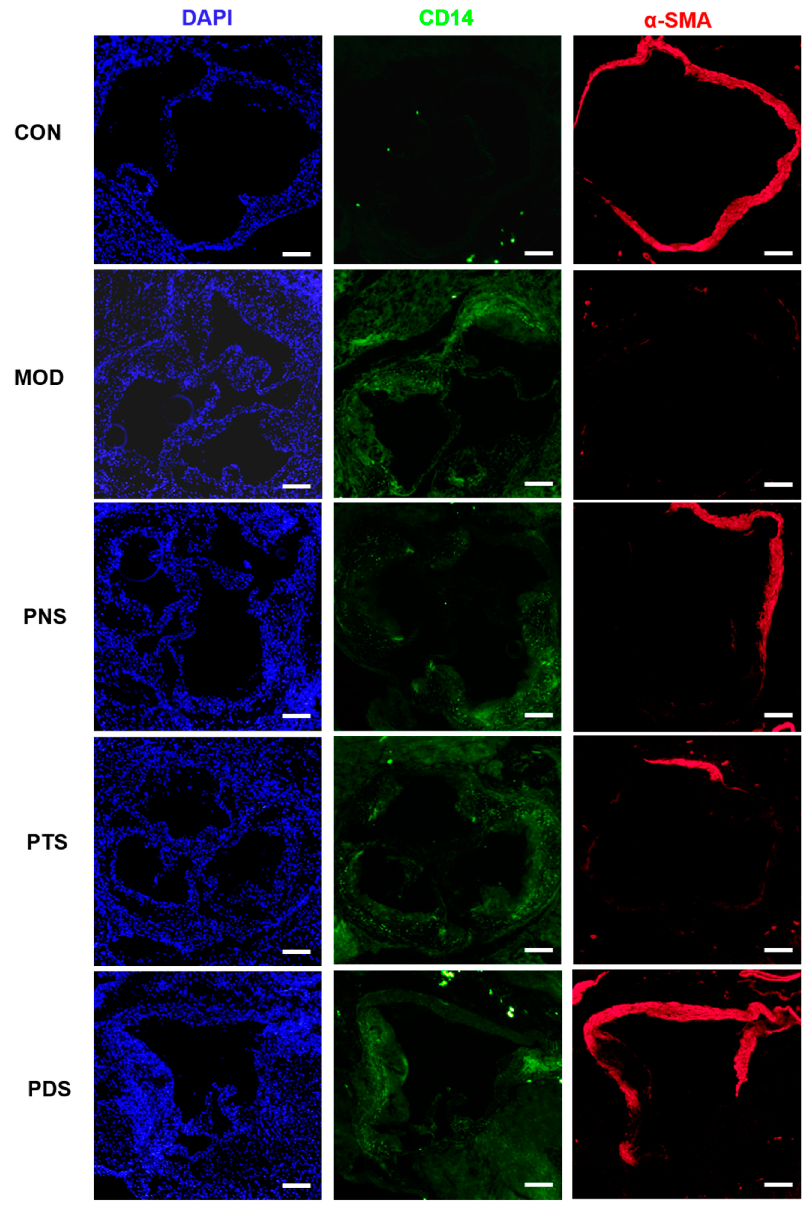 Molecules 24 03723 g005