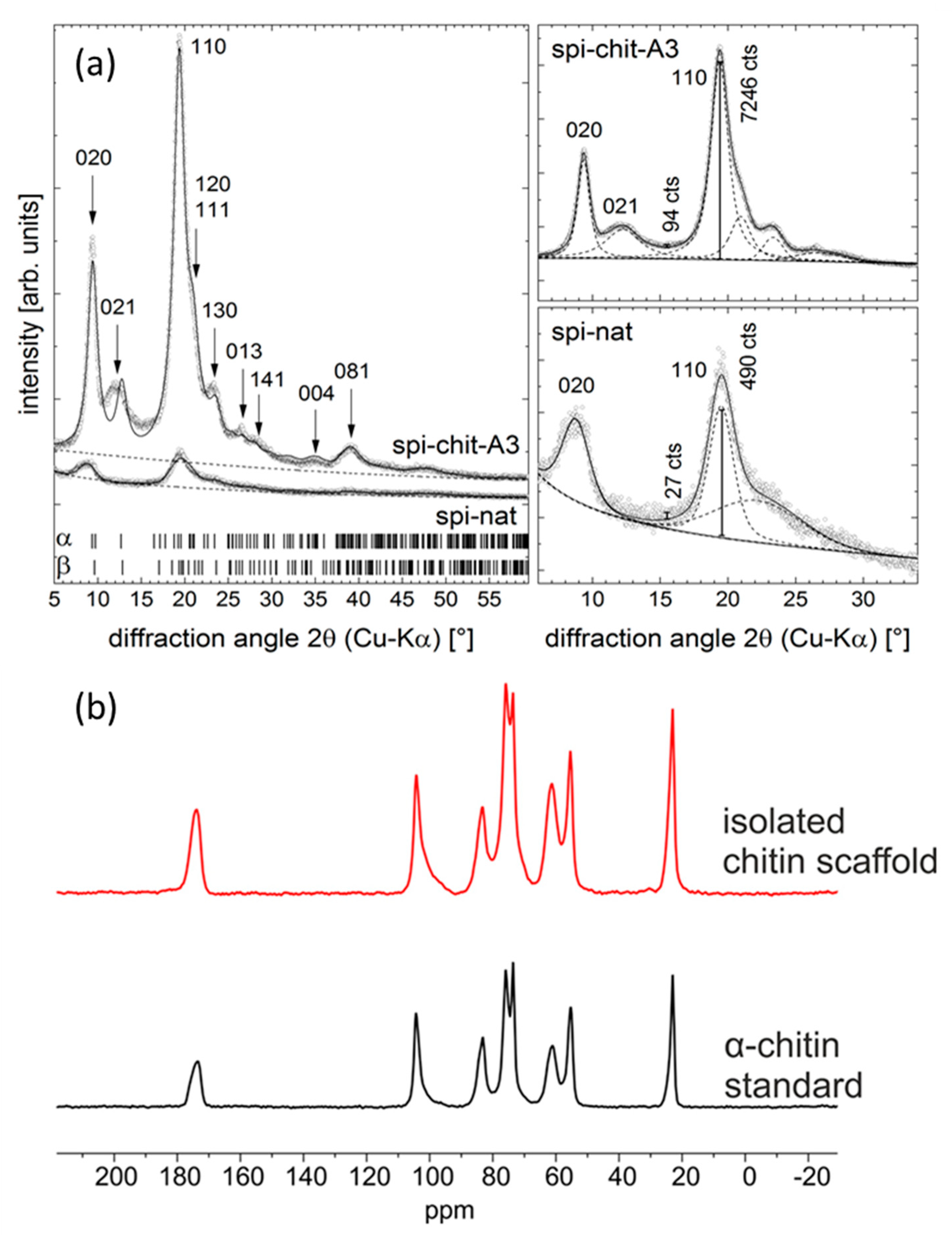 Molecules 24 03736 g007