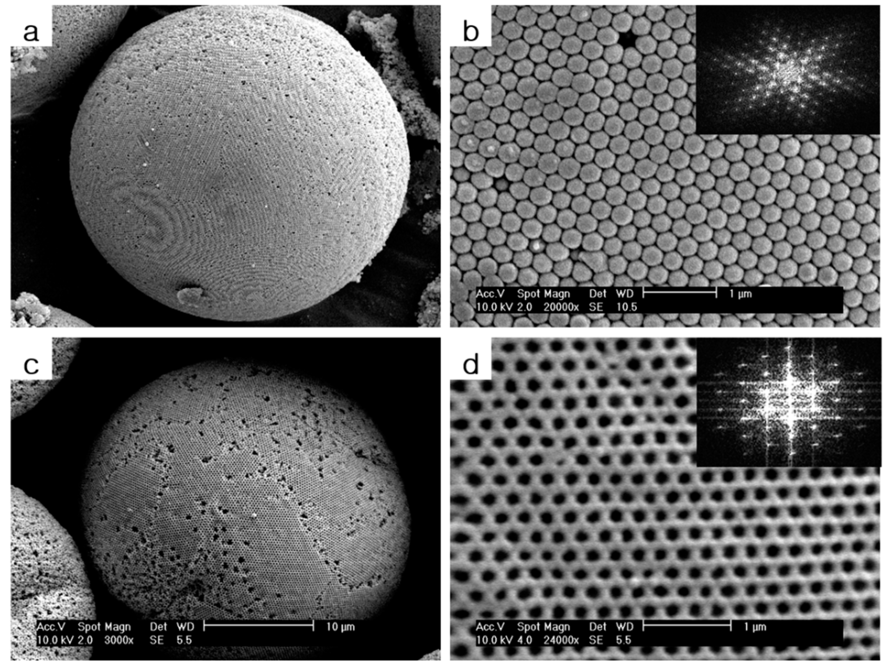 Molecules 24 03905 g003