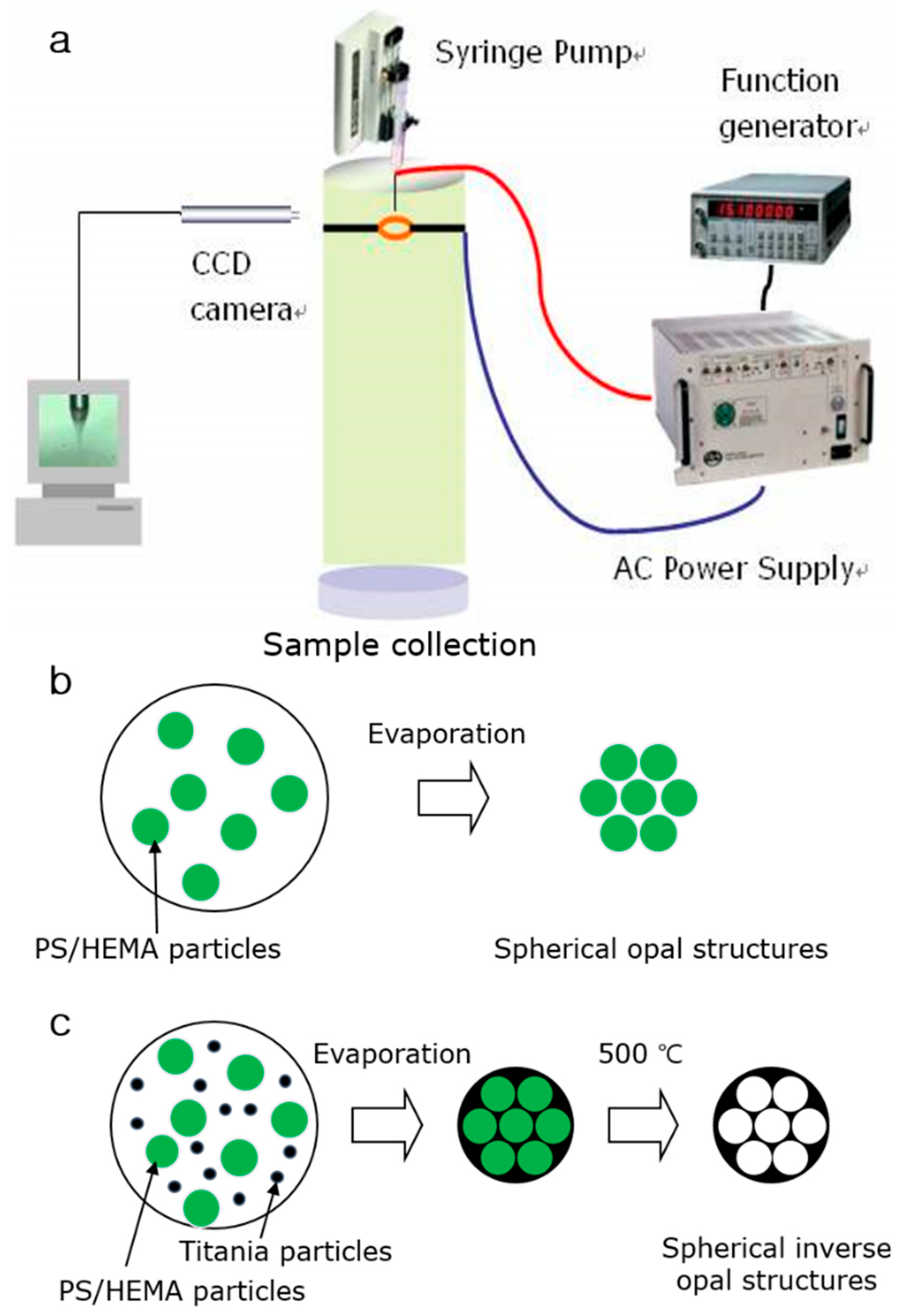 Molecules 24 03905 sch001