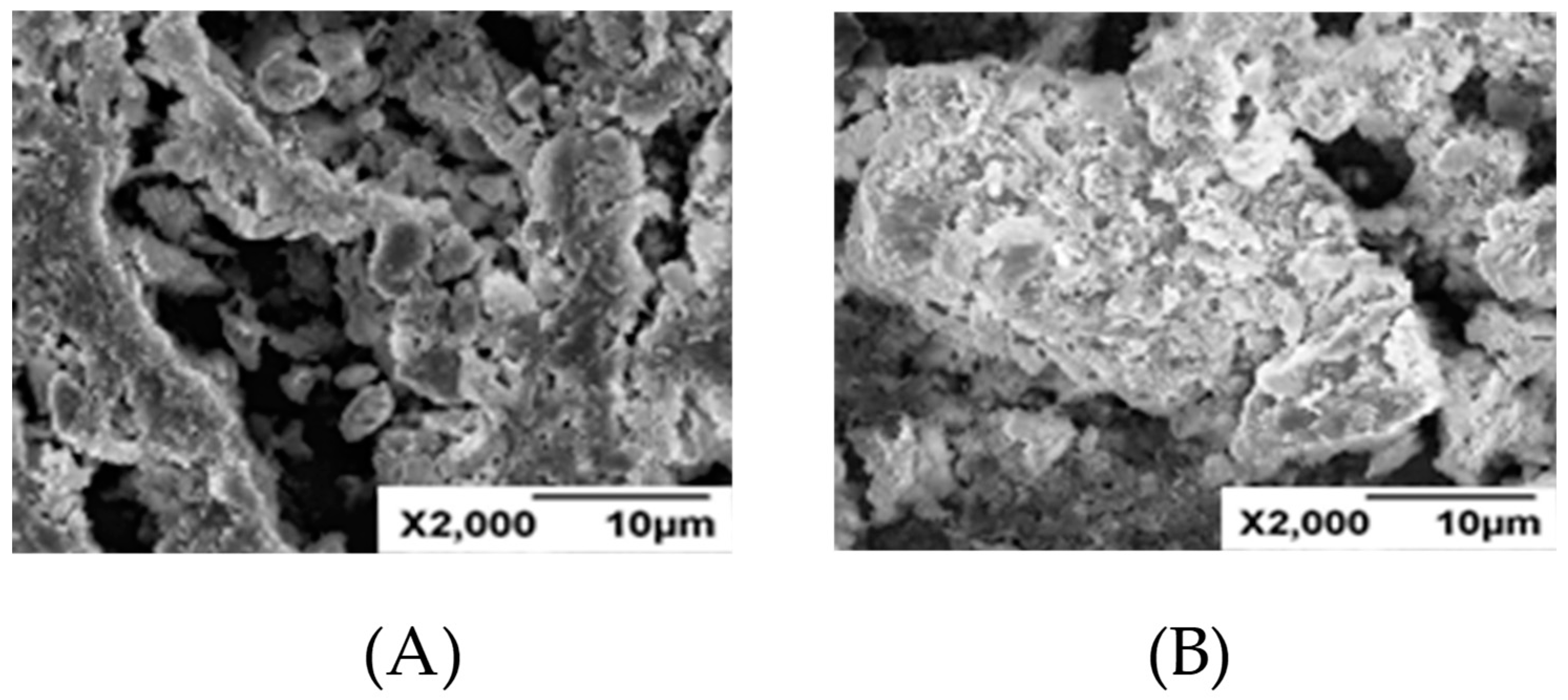 Molecules 24 04331 g006