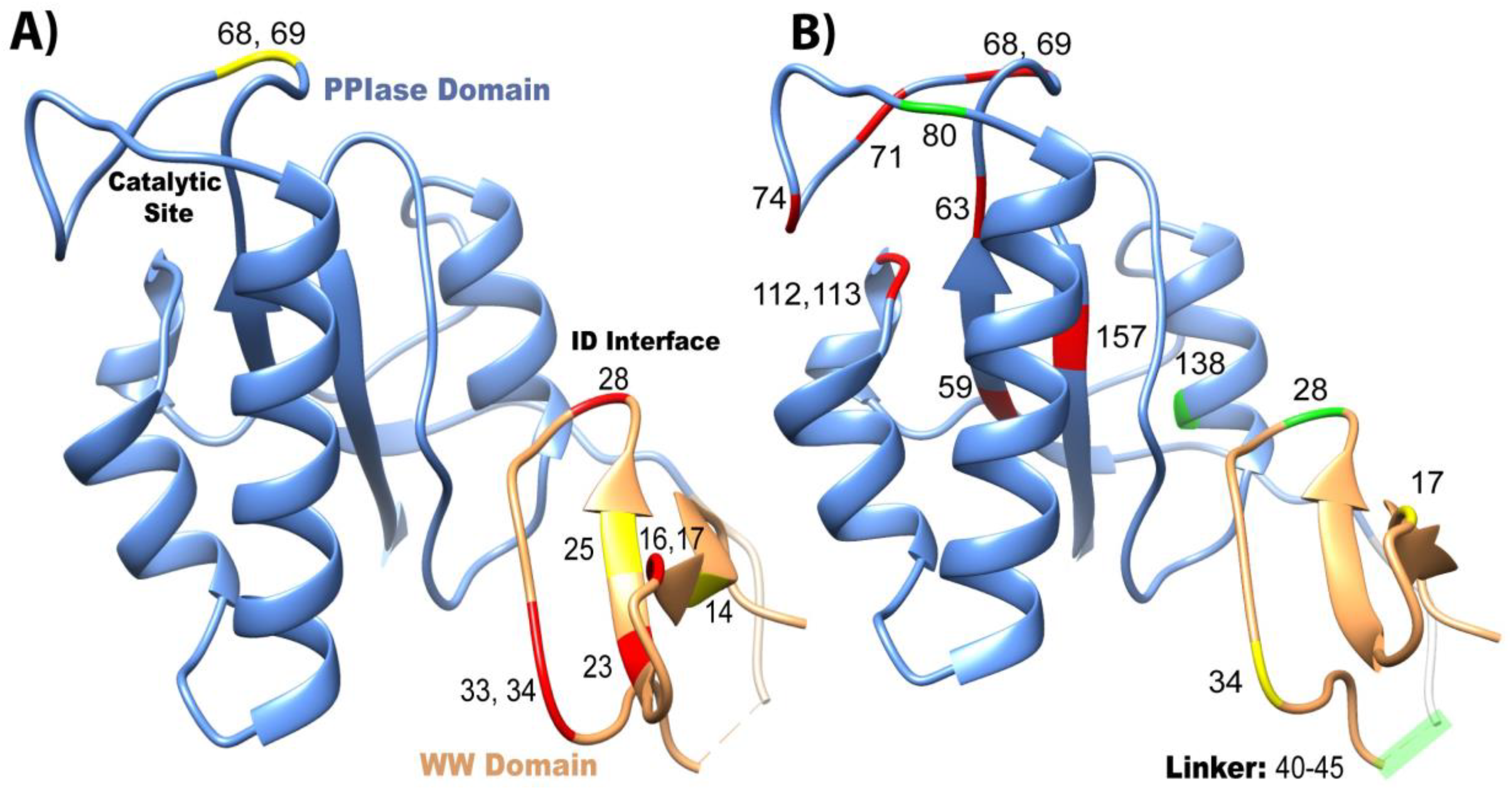Molecules 25 00036 g004 Molecules 25 00036 g004