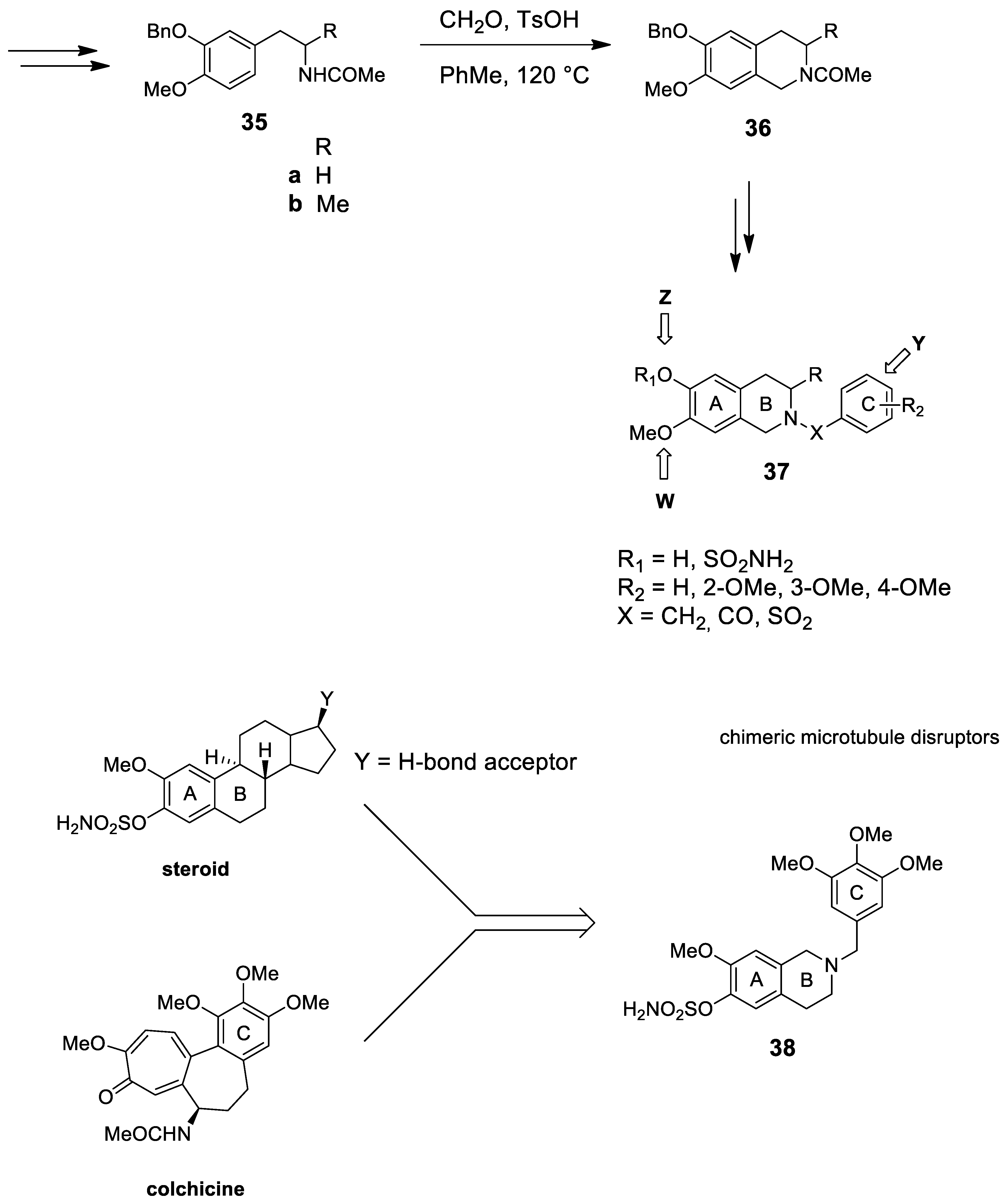 Molecules 25 00414 sch008 Molecules 25 00414 sch008
