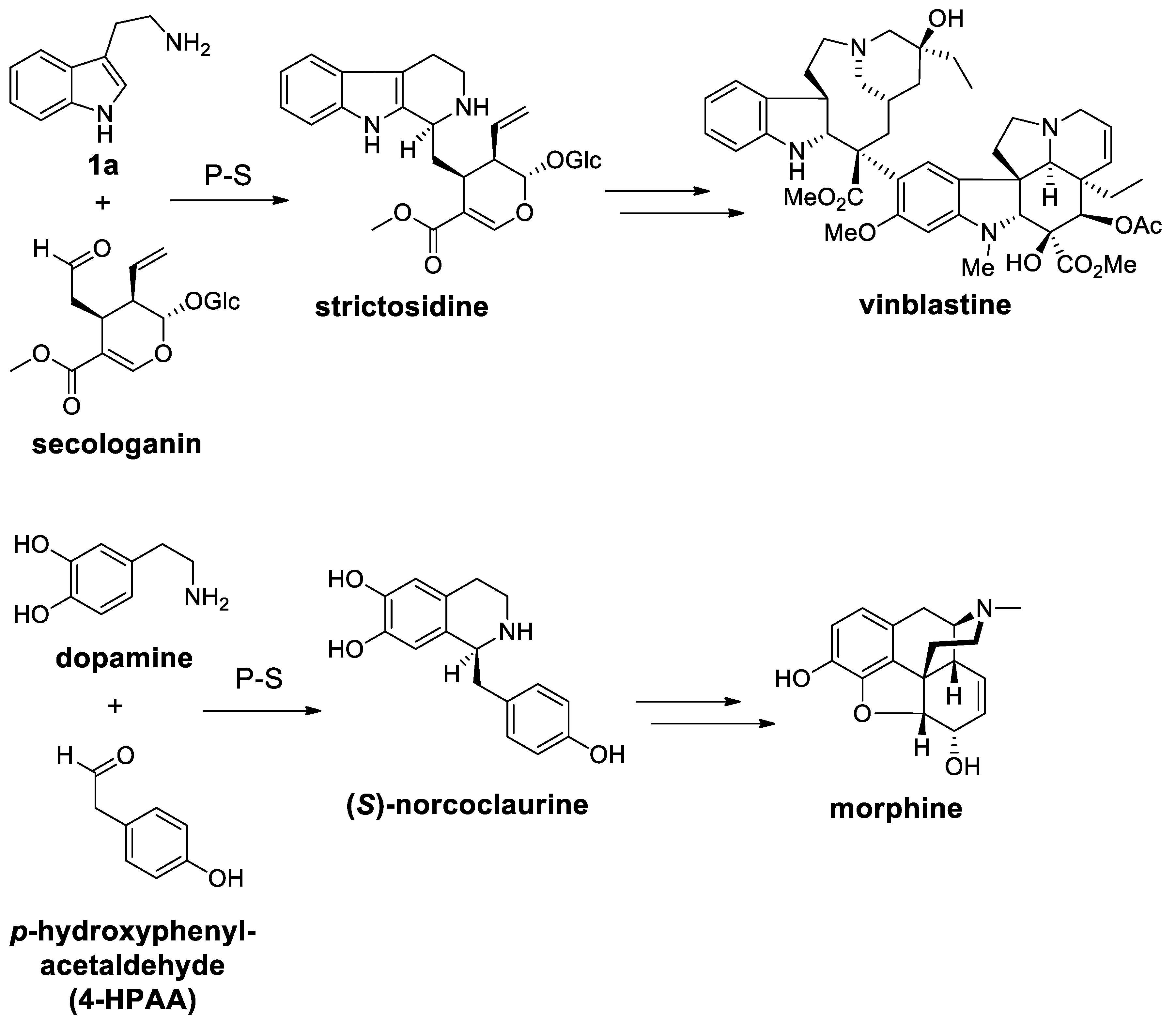 Molecules 25 00414 sch072 Molecules 25 00414 sch072