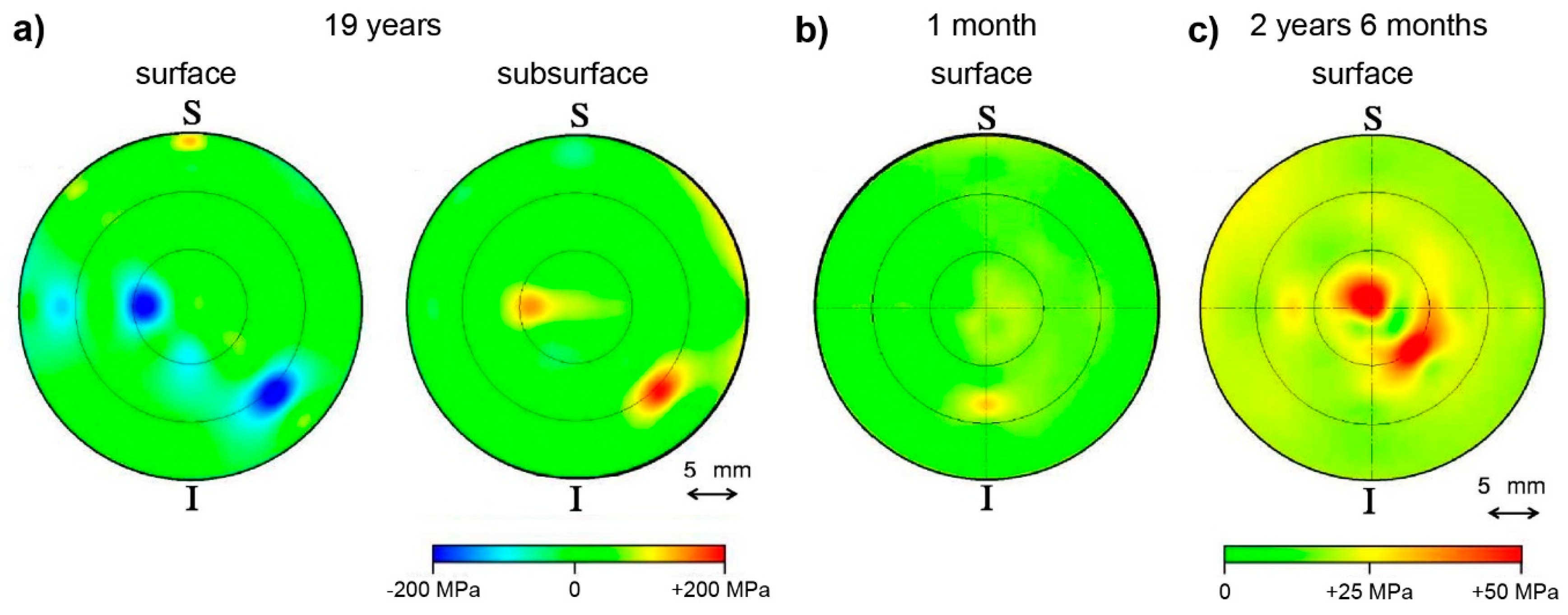 Molecules 25 00579 g012