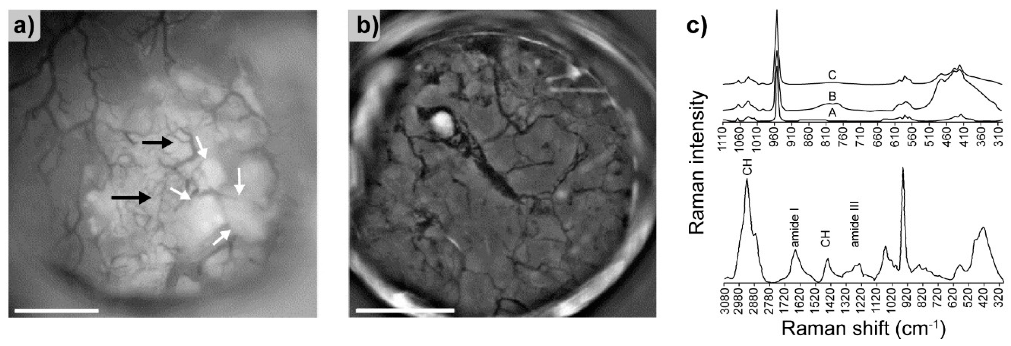 Molecules 25 00579 g014