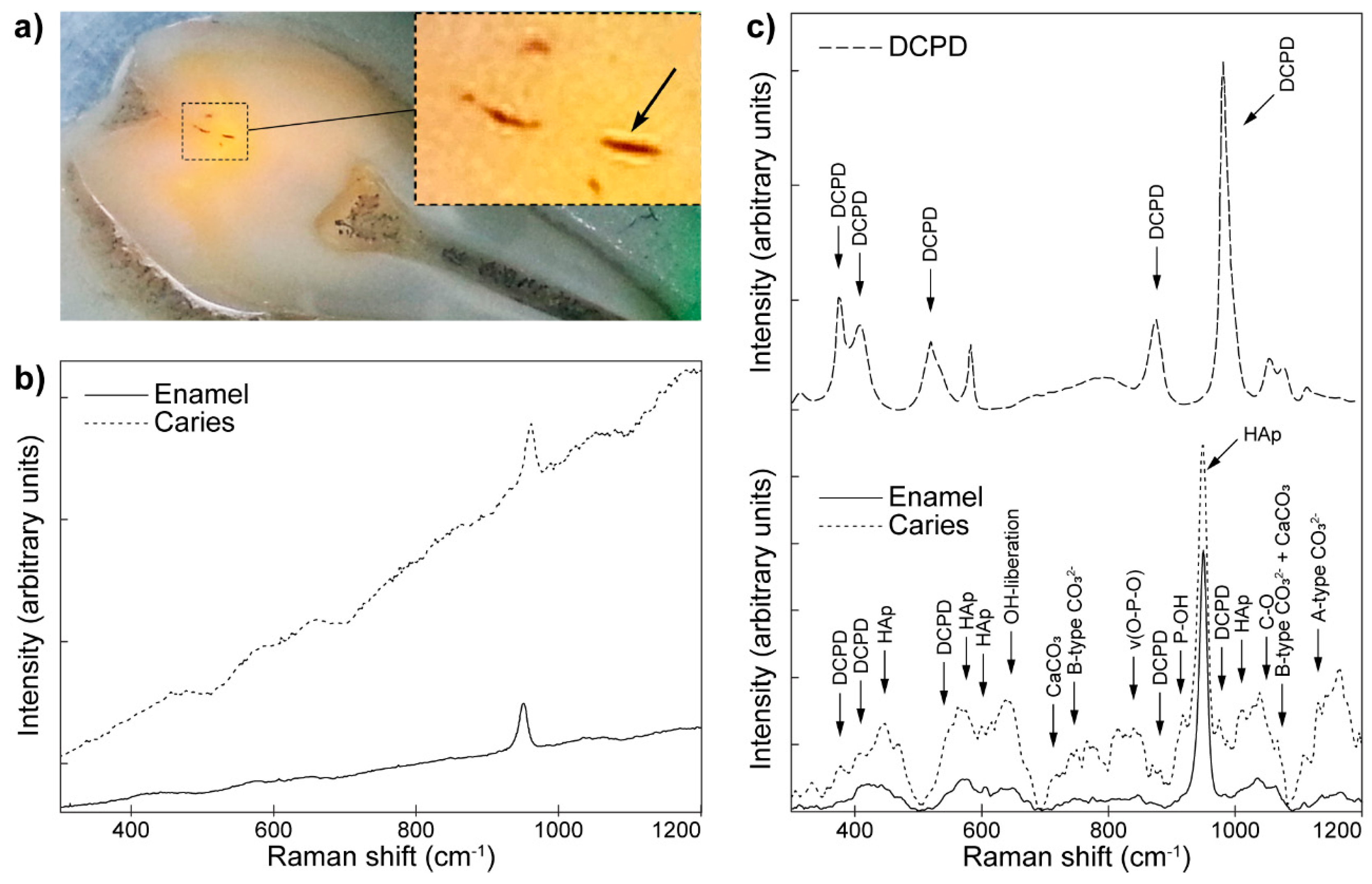 Molecules 25 00579 g015
