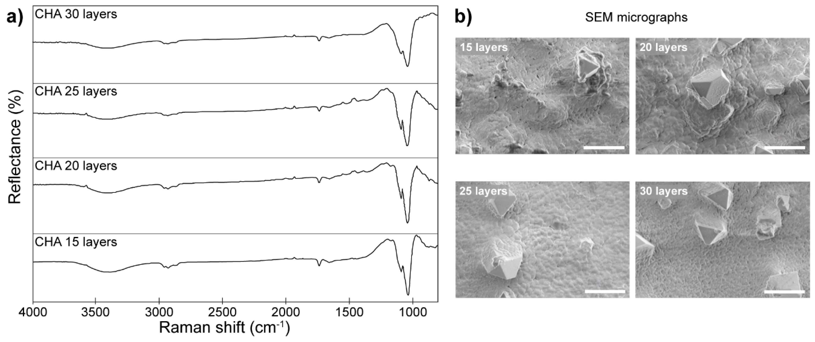 Molecules 25 00579 g016